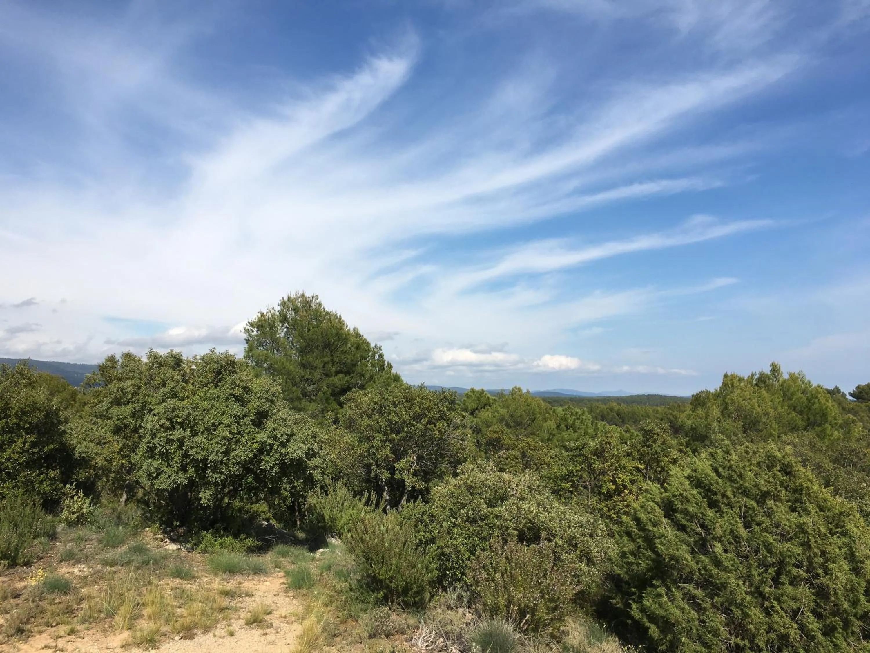 View (from property/room) in Le Barretian