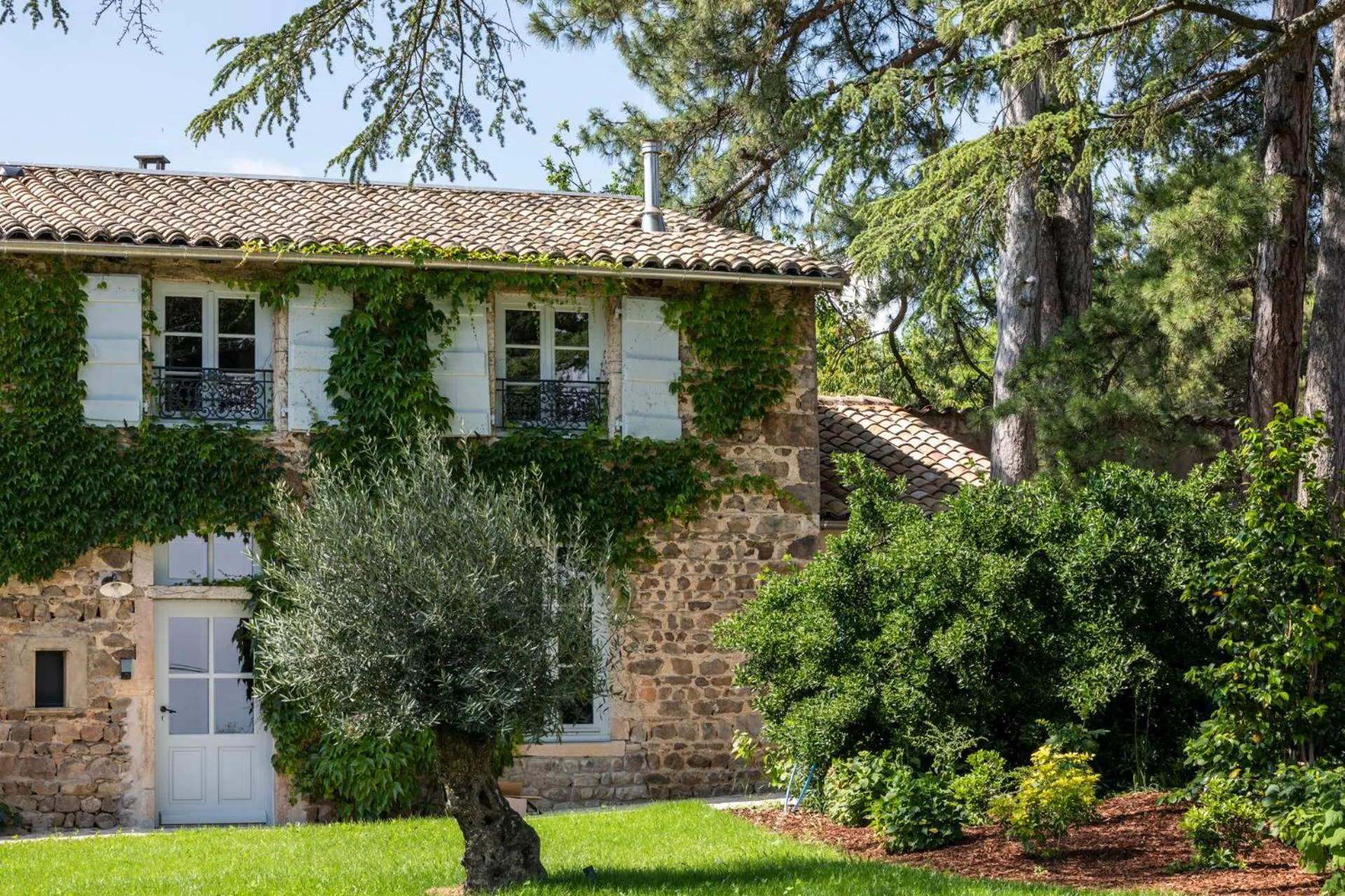 Garden in Hôtel Villa Alexandre