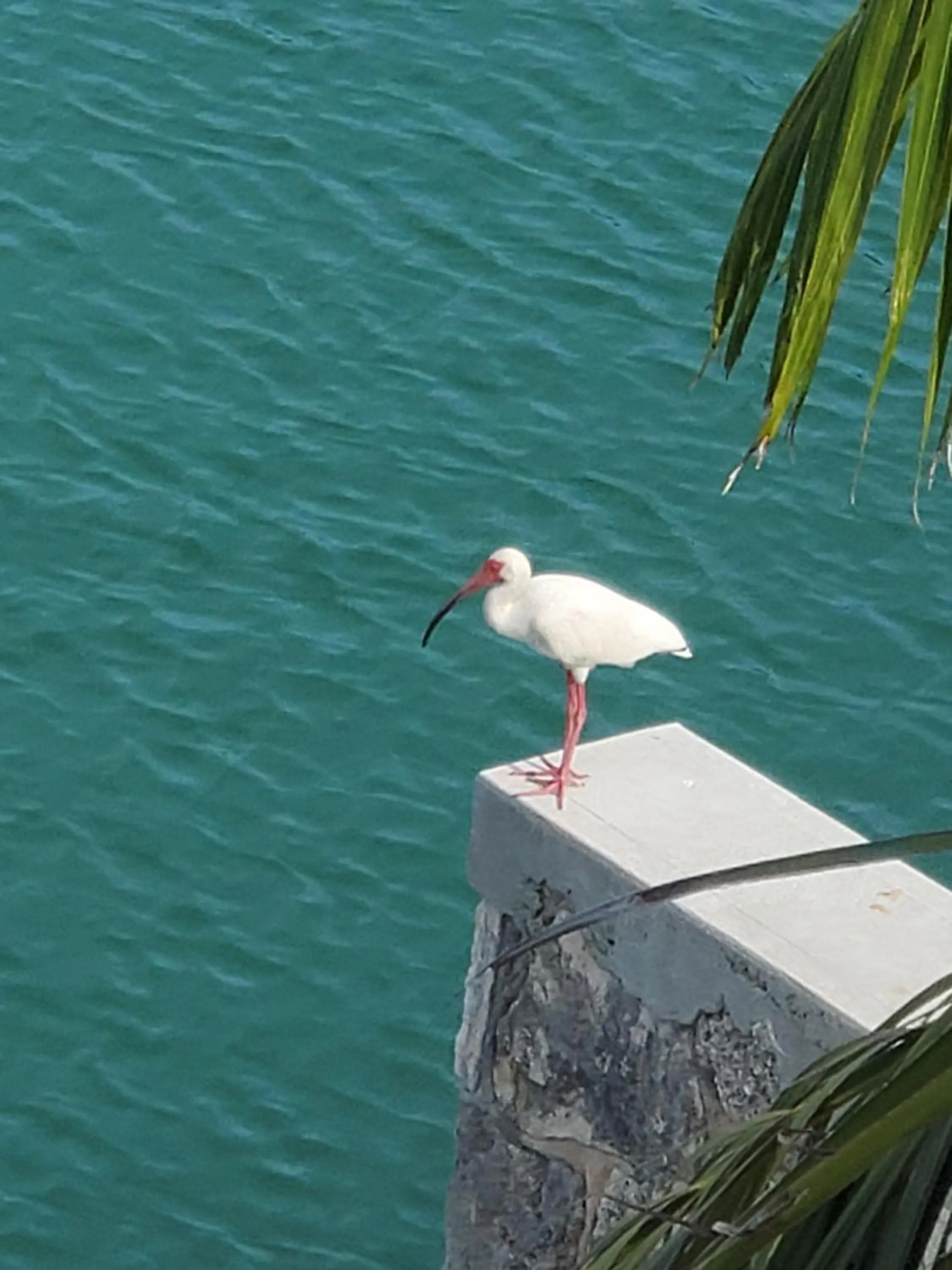 Natural landscape in Dolphin Cove