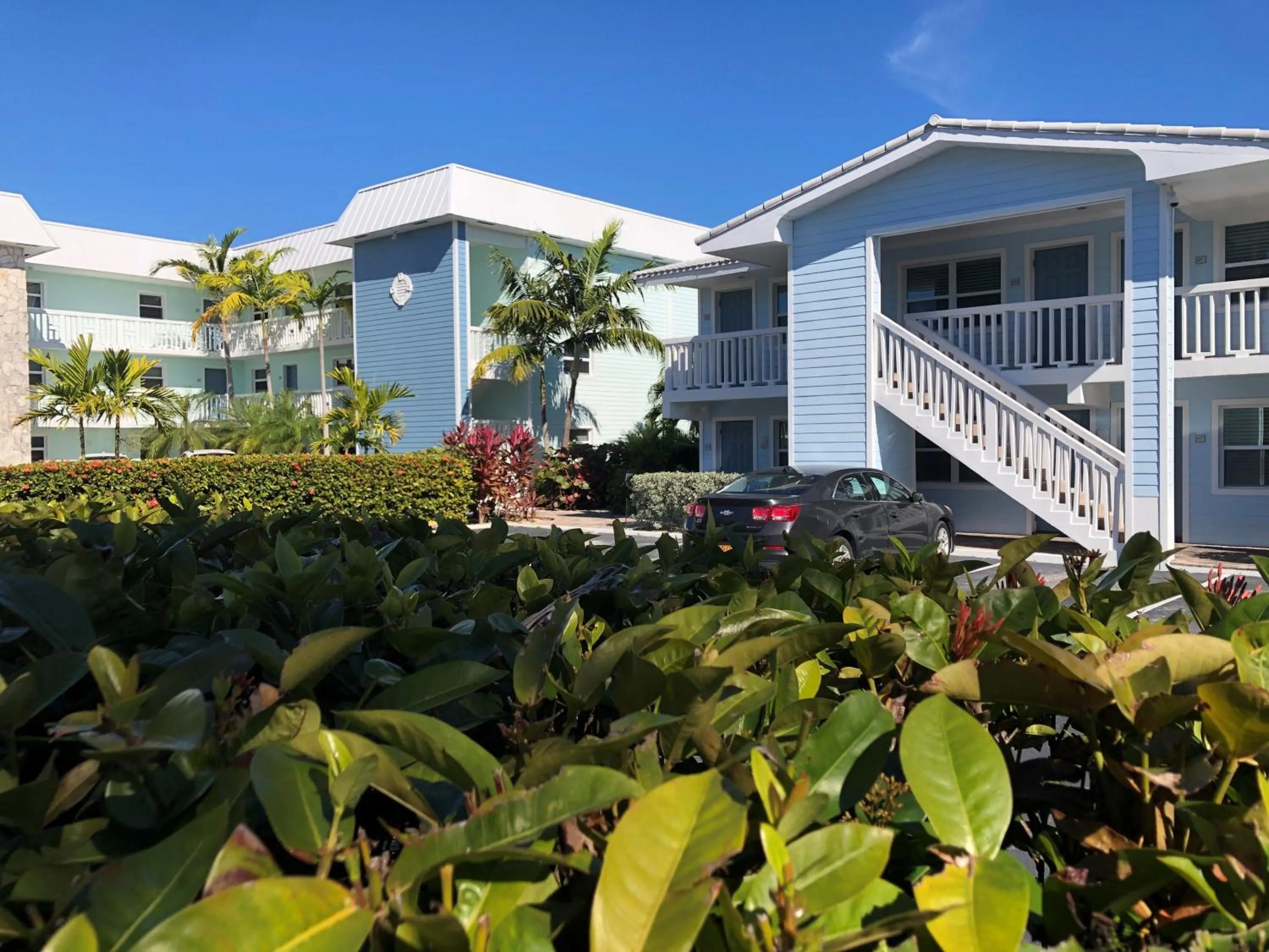 Property building in Dolphin Cove