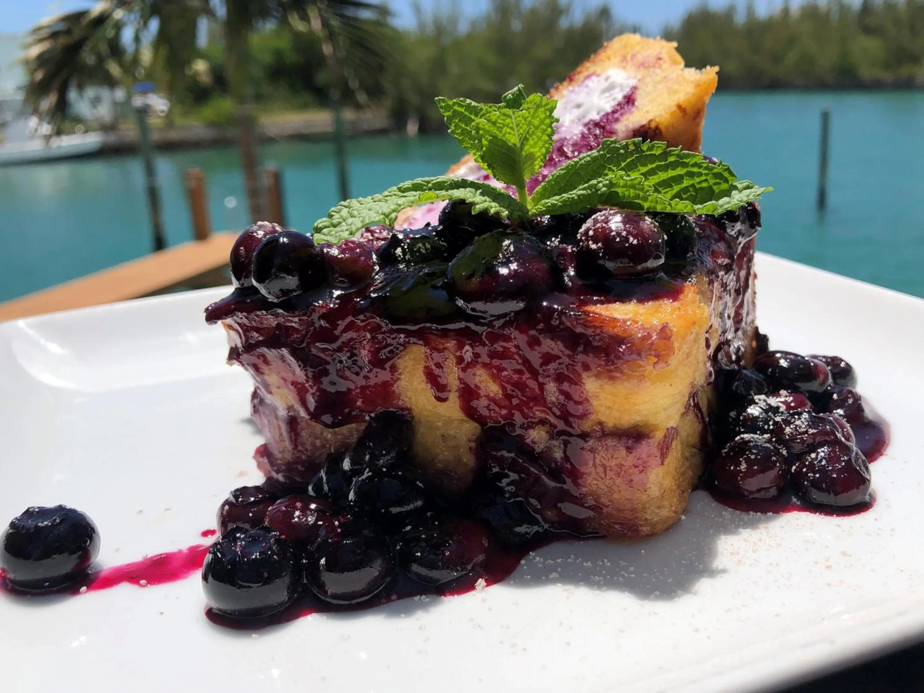 Food in Dolphin Cove