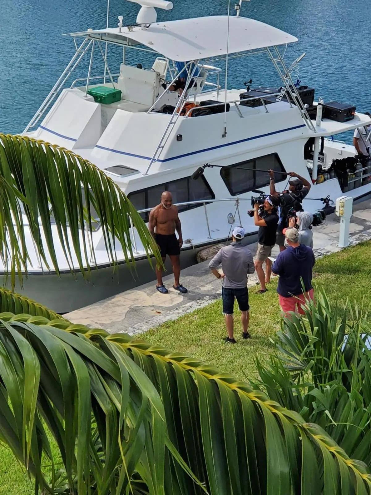 Property building in Dolphin Cove