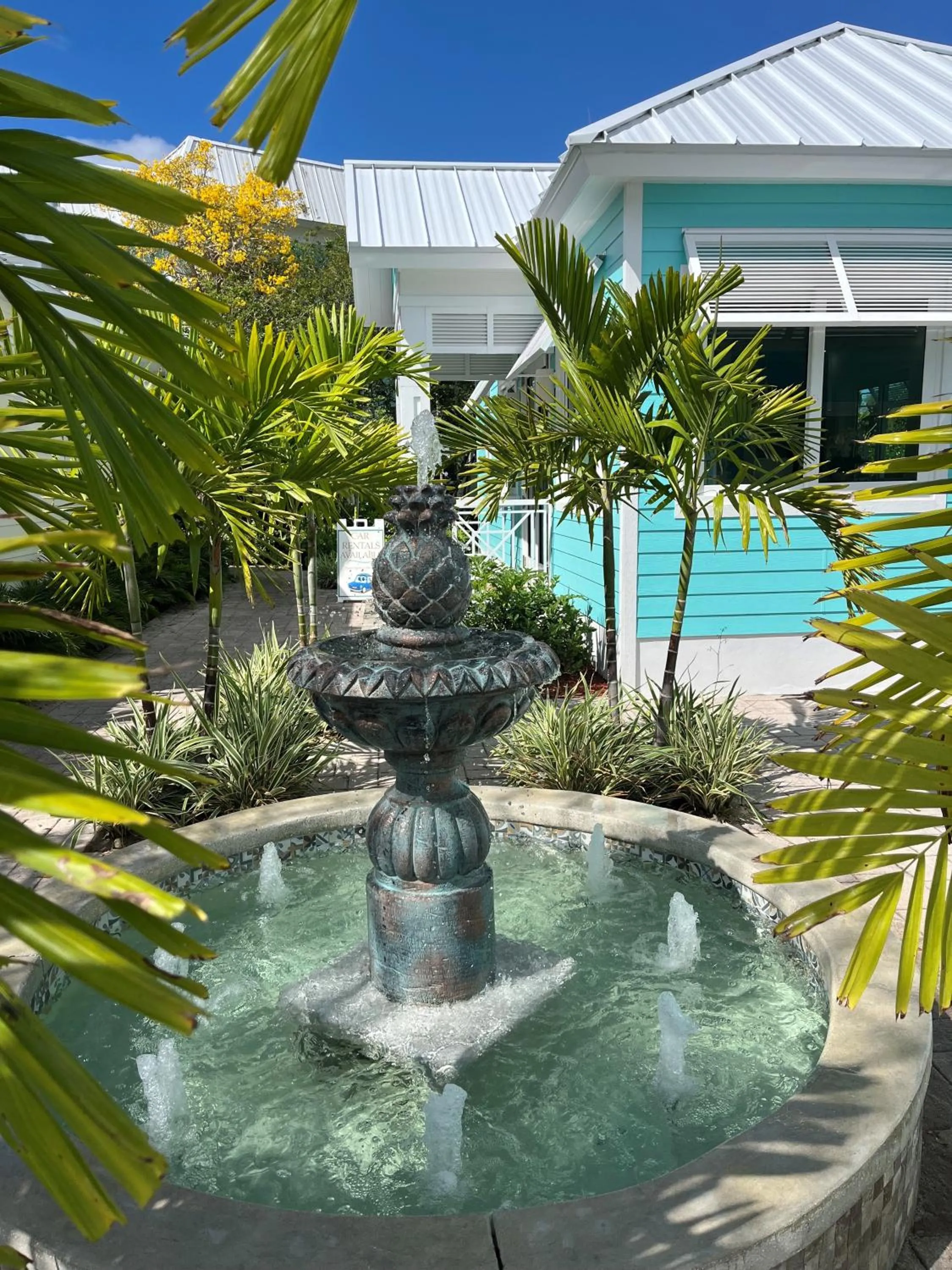 Lobby or reception in Dolphin Cove