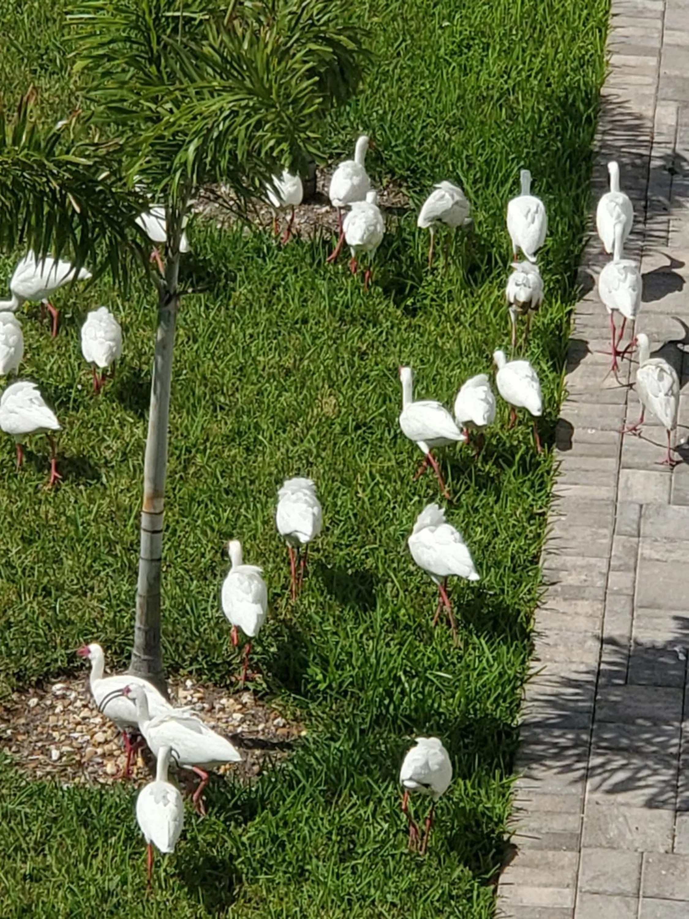 Animals in Dolphin Cove