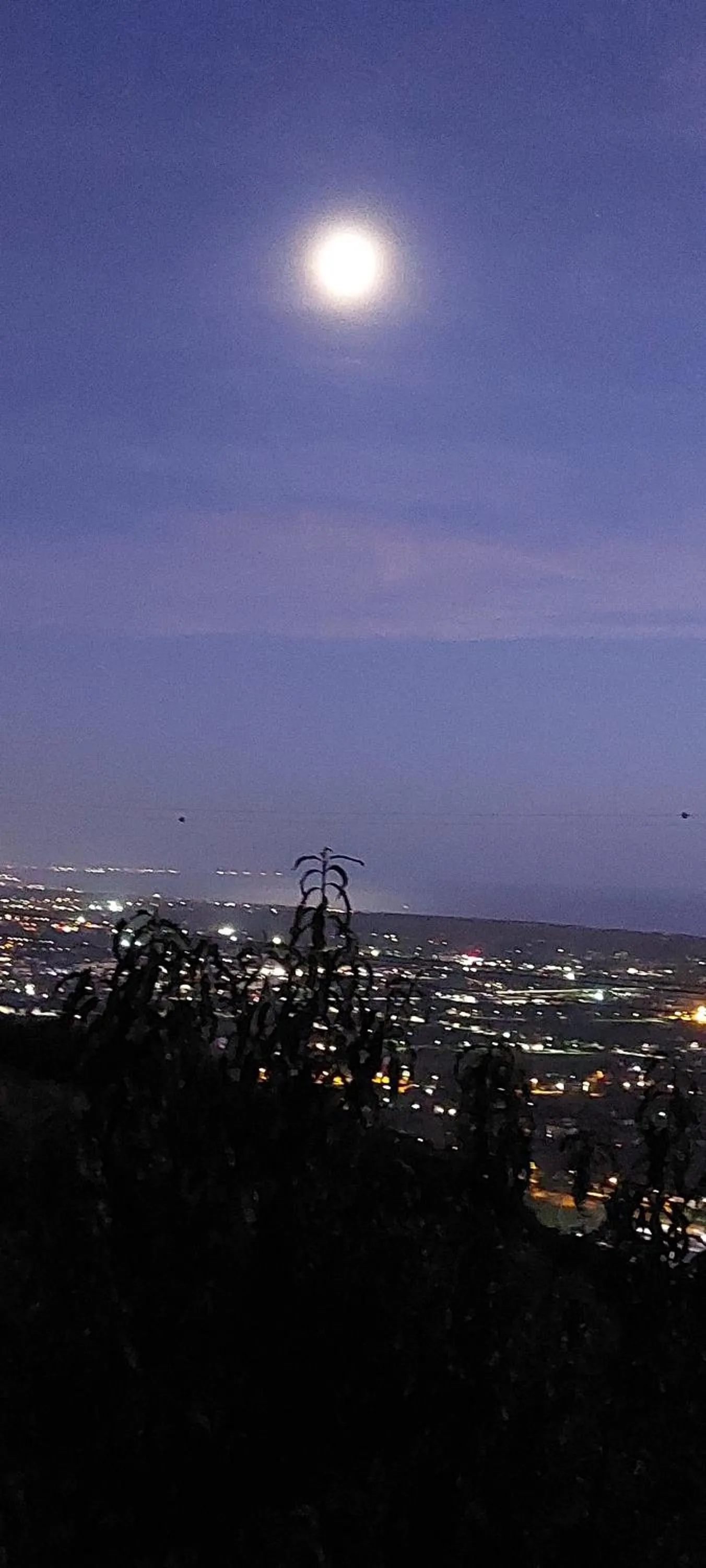 Night in Bellavista Versilia