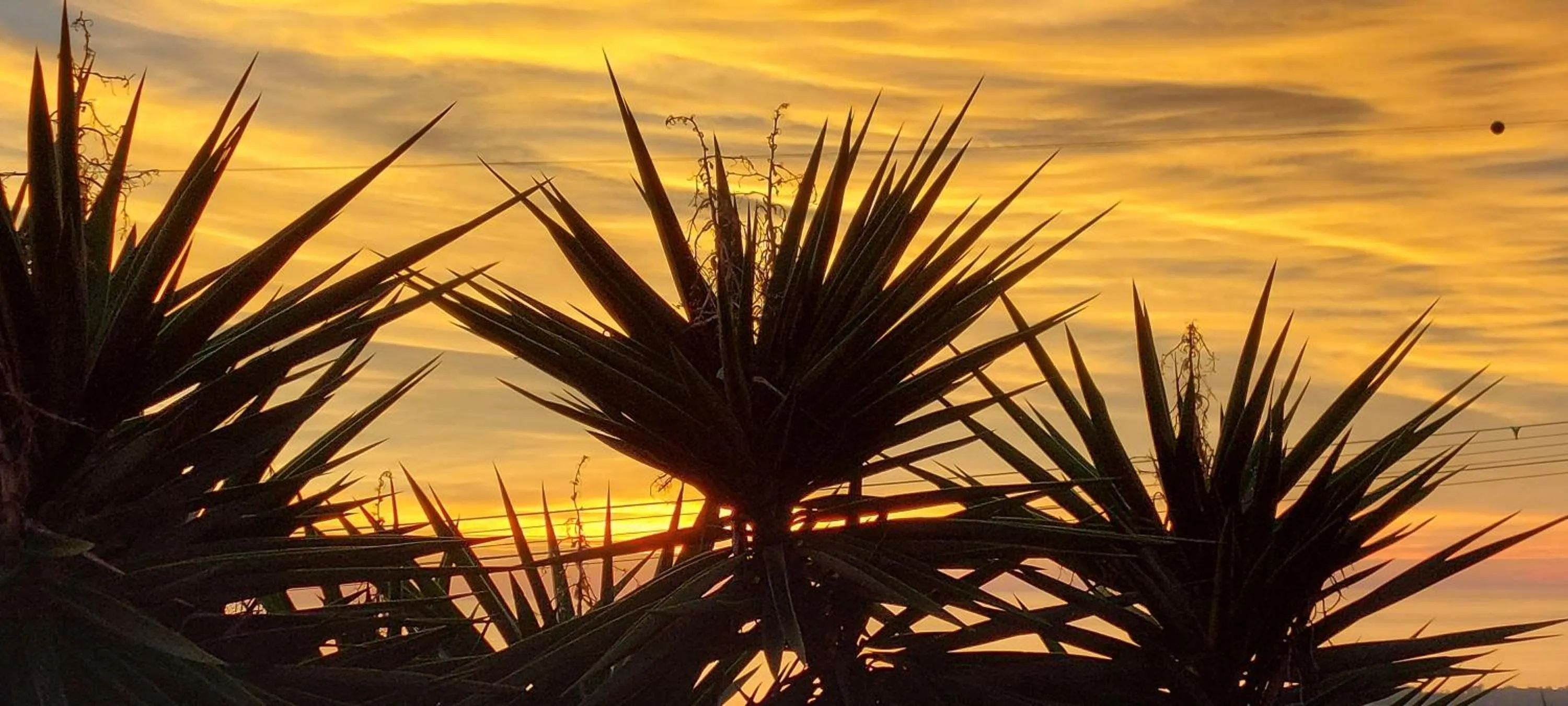Natural landscape in Bellavista Versilia