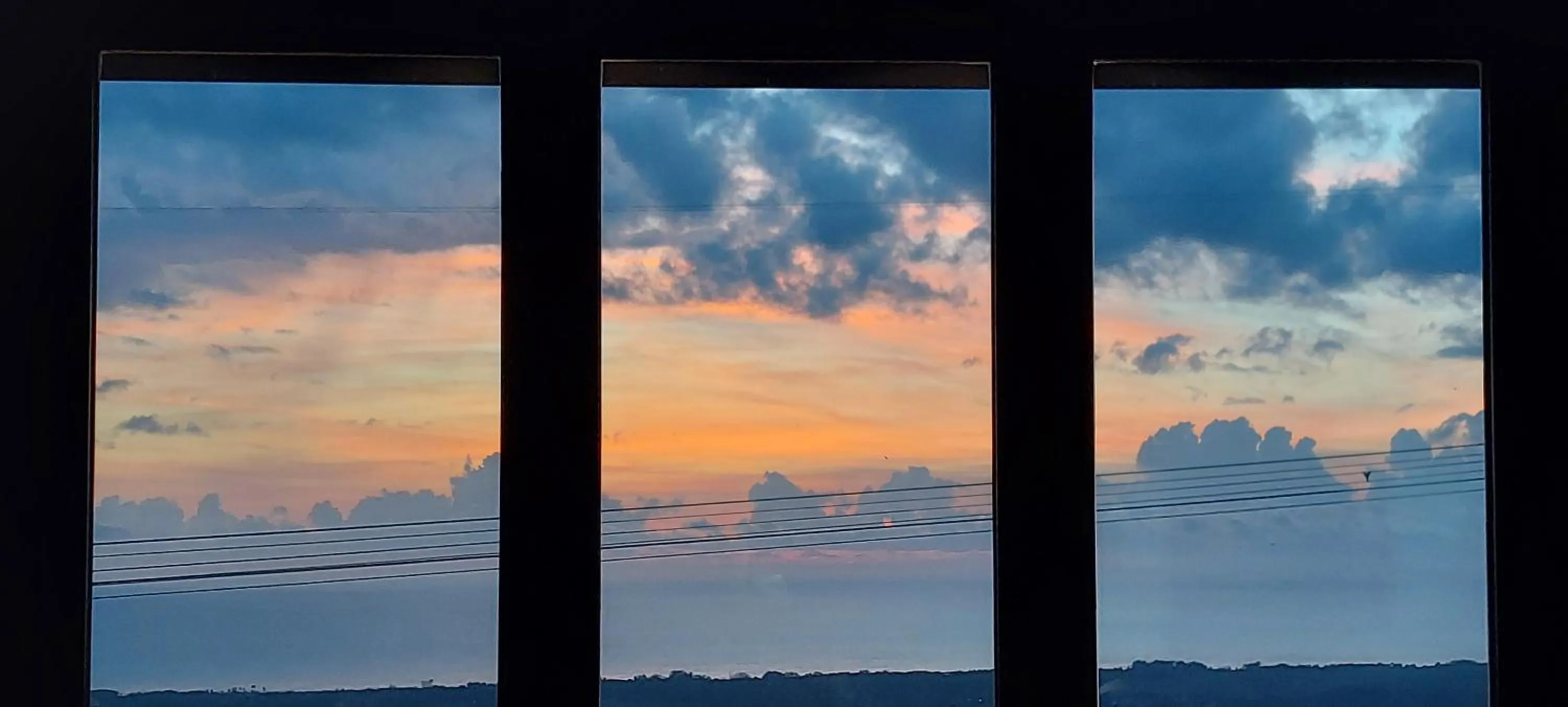 Natural landscape in Bellavista Versilia