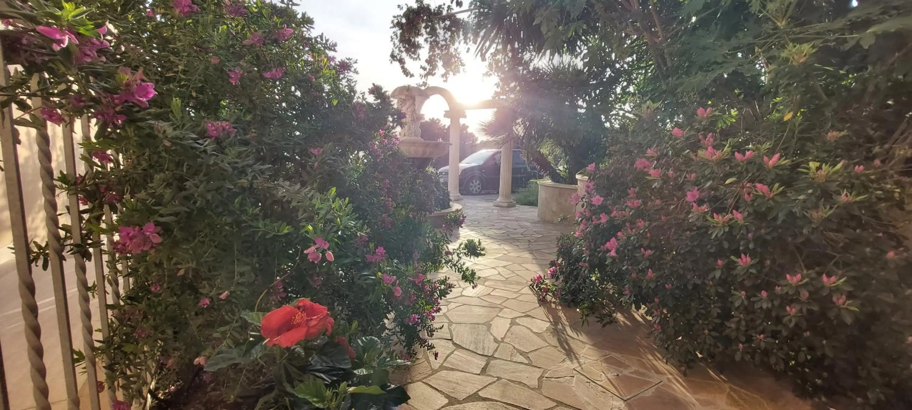 Day in Bellavista Versilia