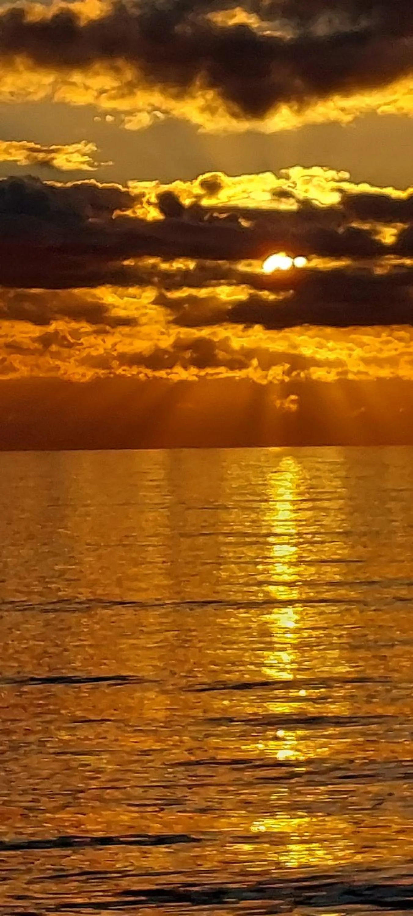 Natural landscape in Bellavista Versilia