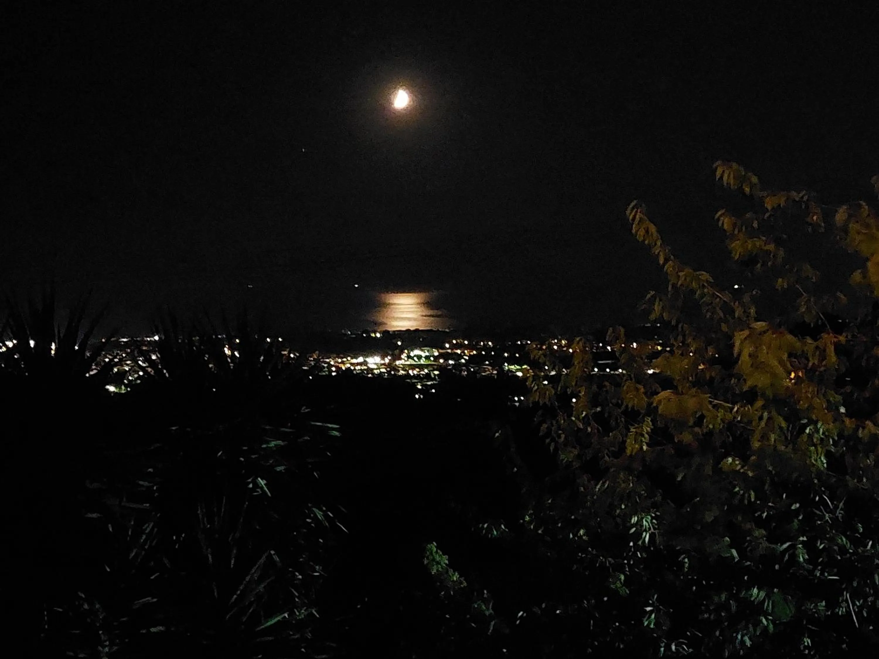 Night in Bellavista Versilia