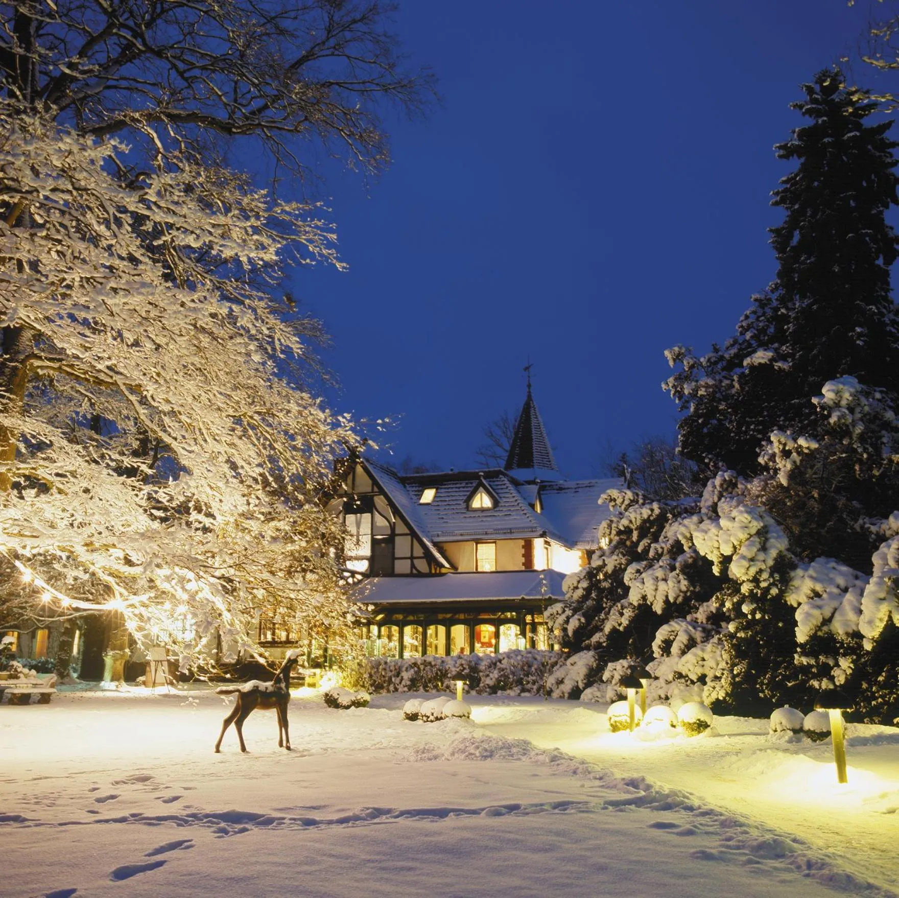 Winter in Romantik Hotel Jagdhaus Waldfrieden