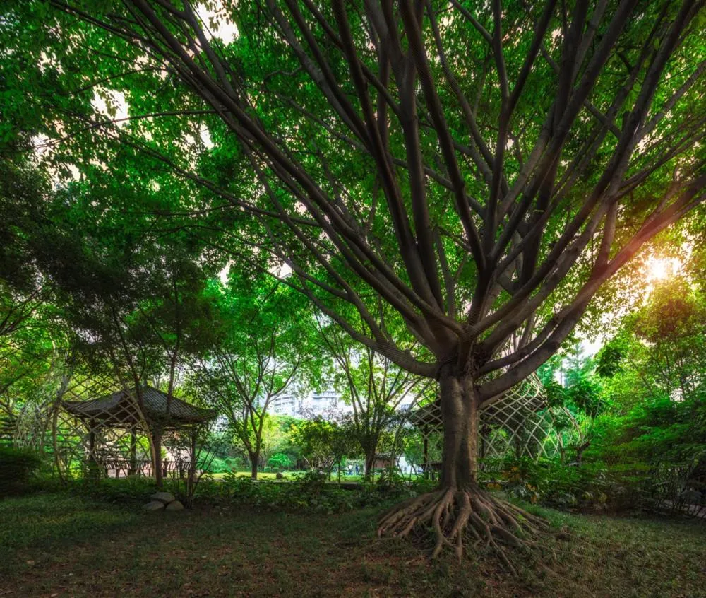Chengdu Wangjiang Hotel