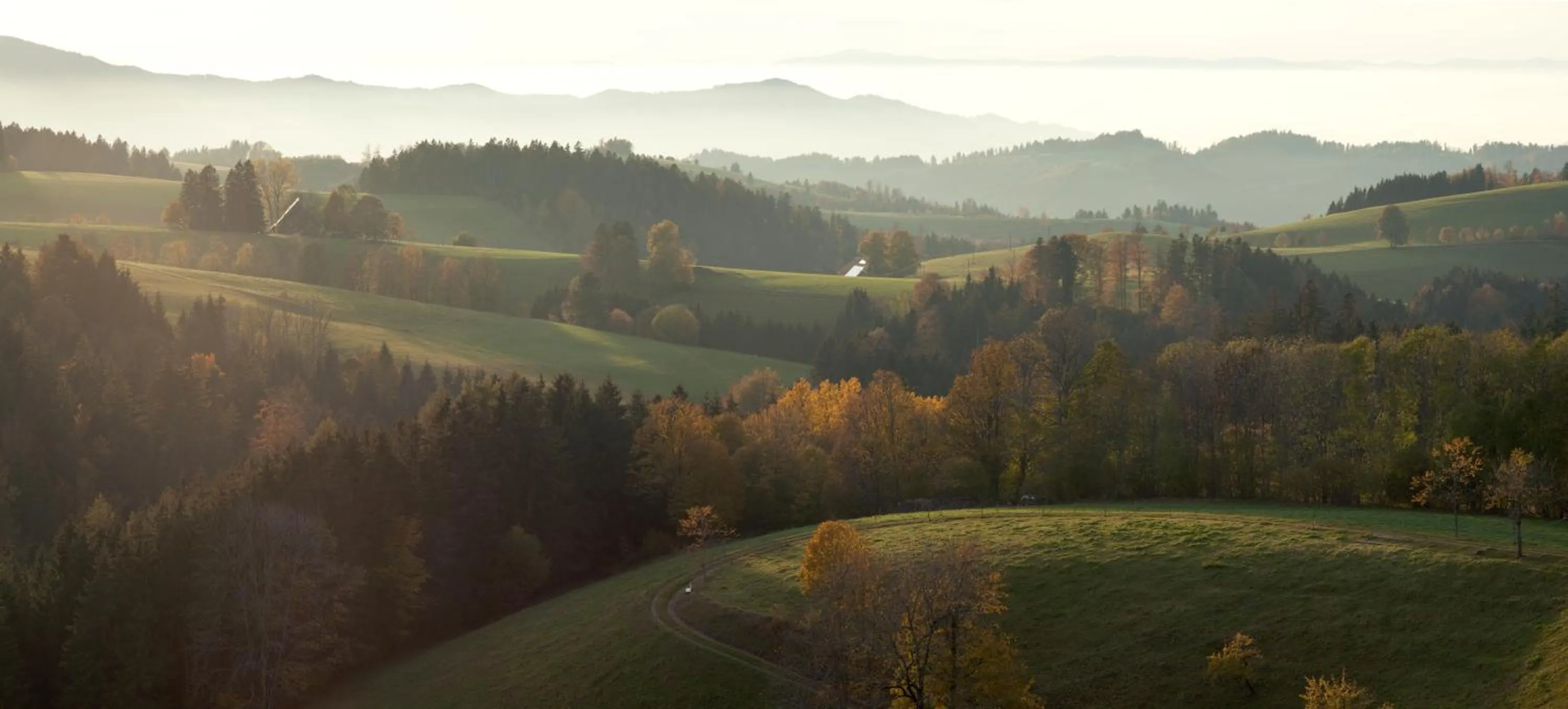 Natural landscape in BRUGGER'S Hotelpark am See