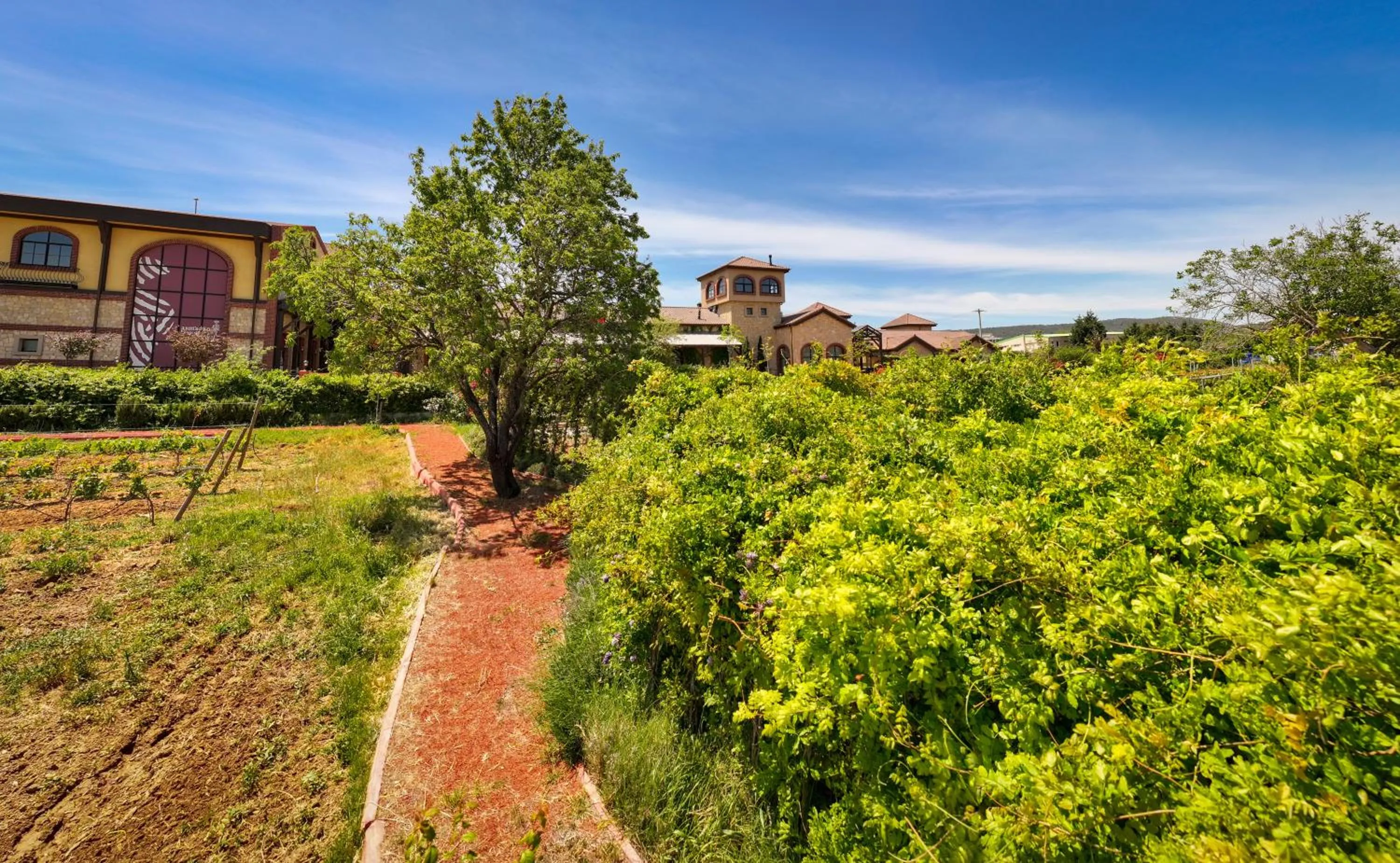 Property building in Bengodi Boutique Hotel