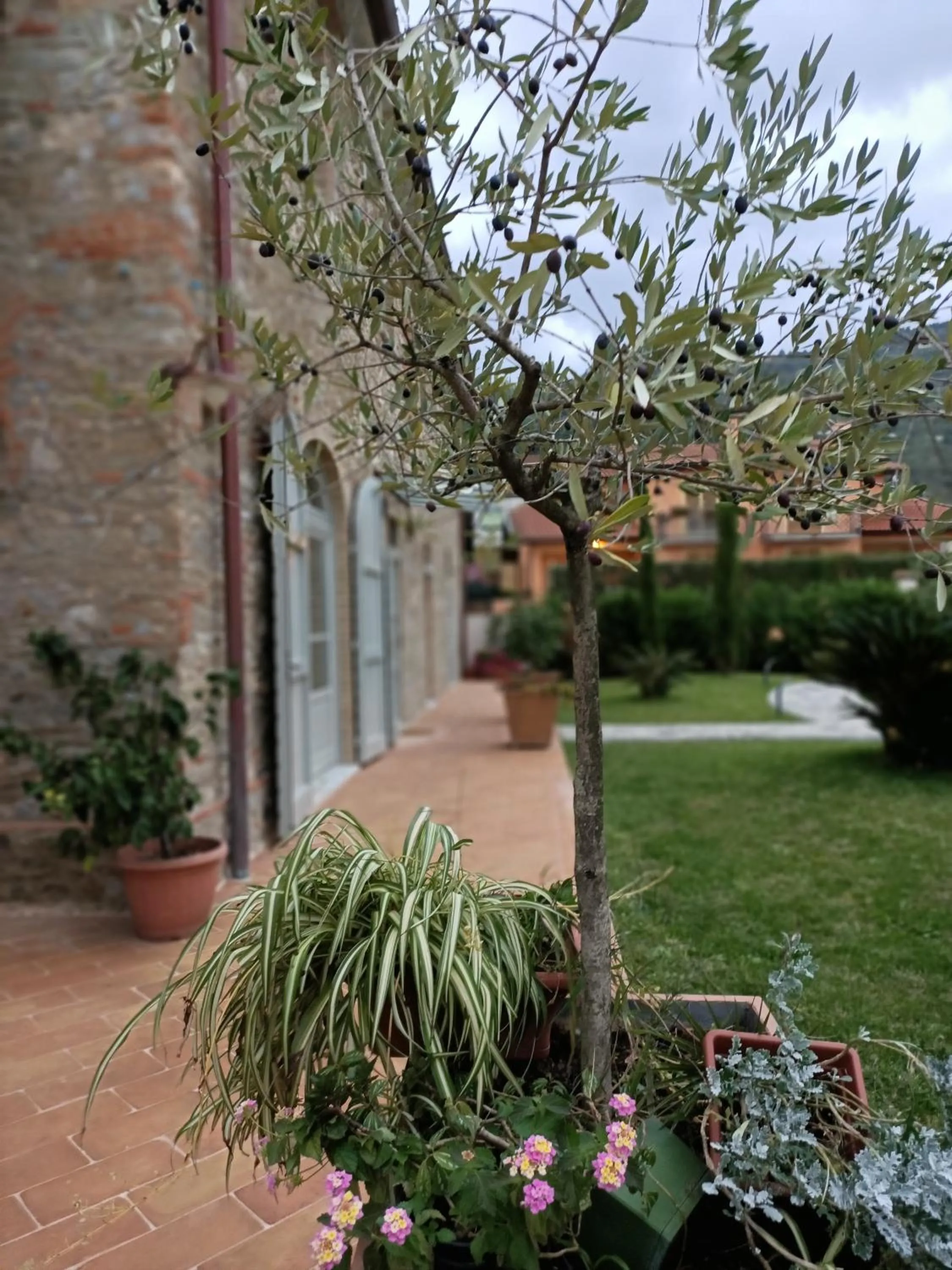 Casale1918