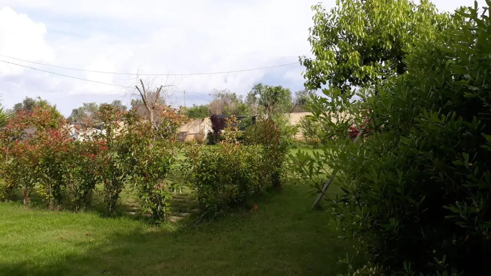 Two-Bedroom Apartment in Terra e colori Two-Bedroom Apartment in Terra e colori