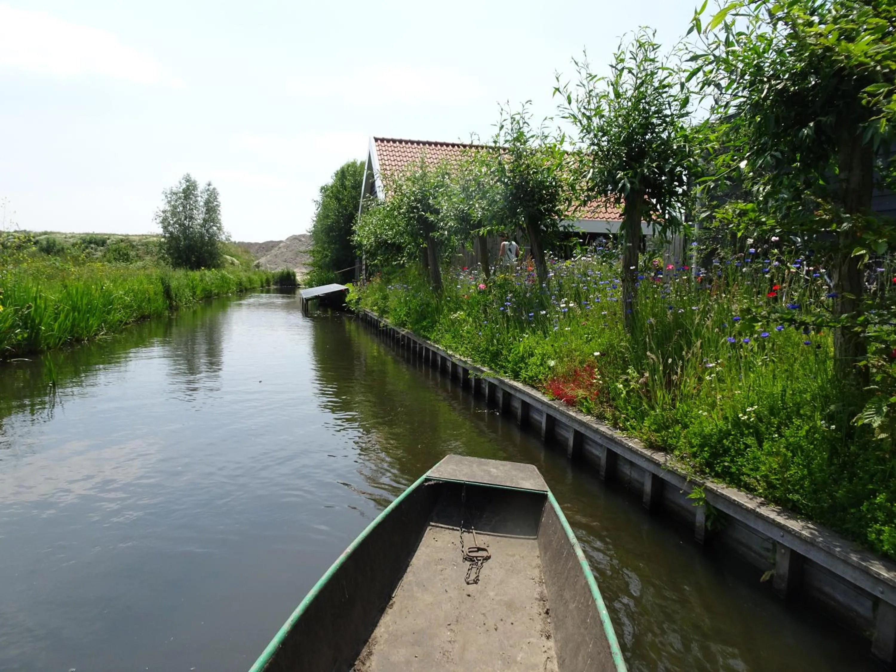 Natural landscape in De Kopstoof