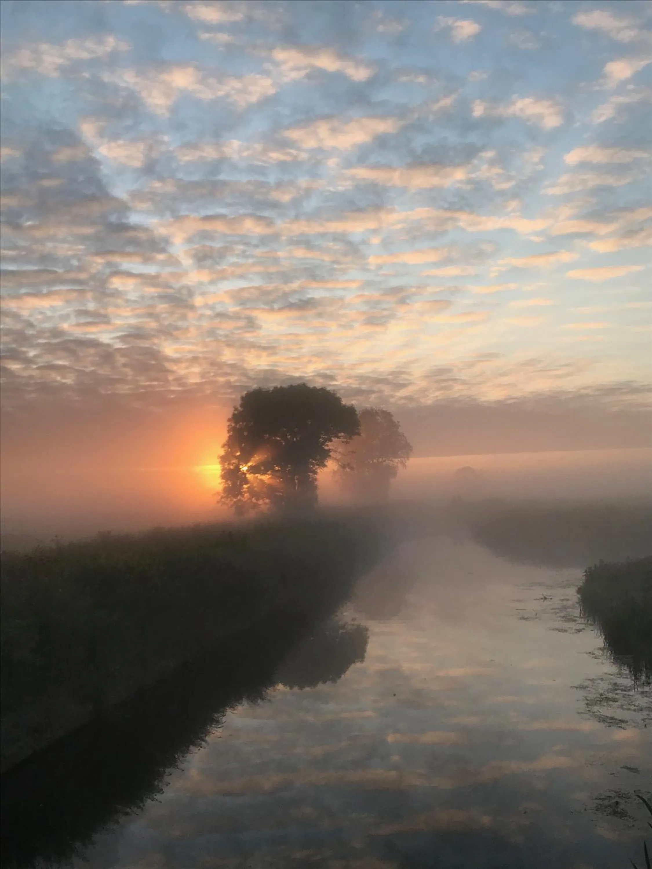 View (from property/room) in De Kopstoof