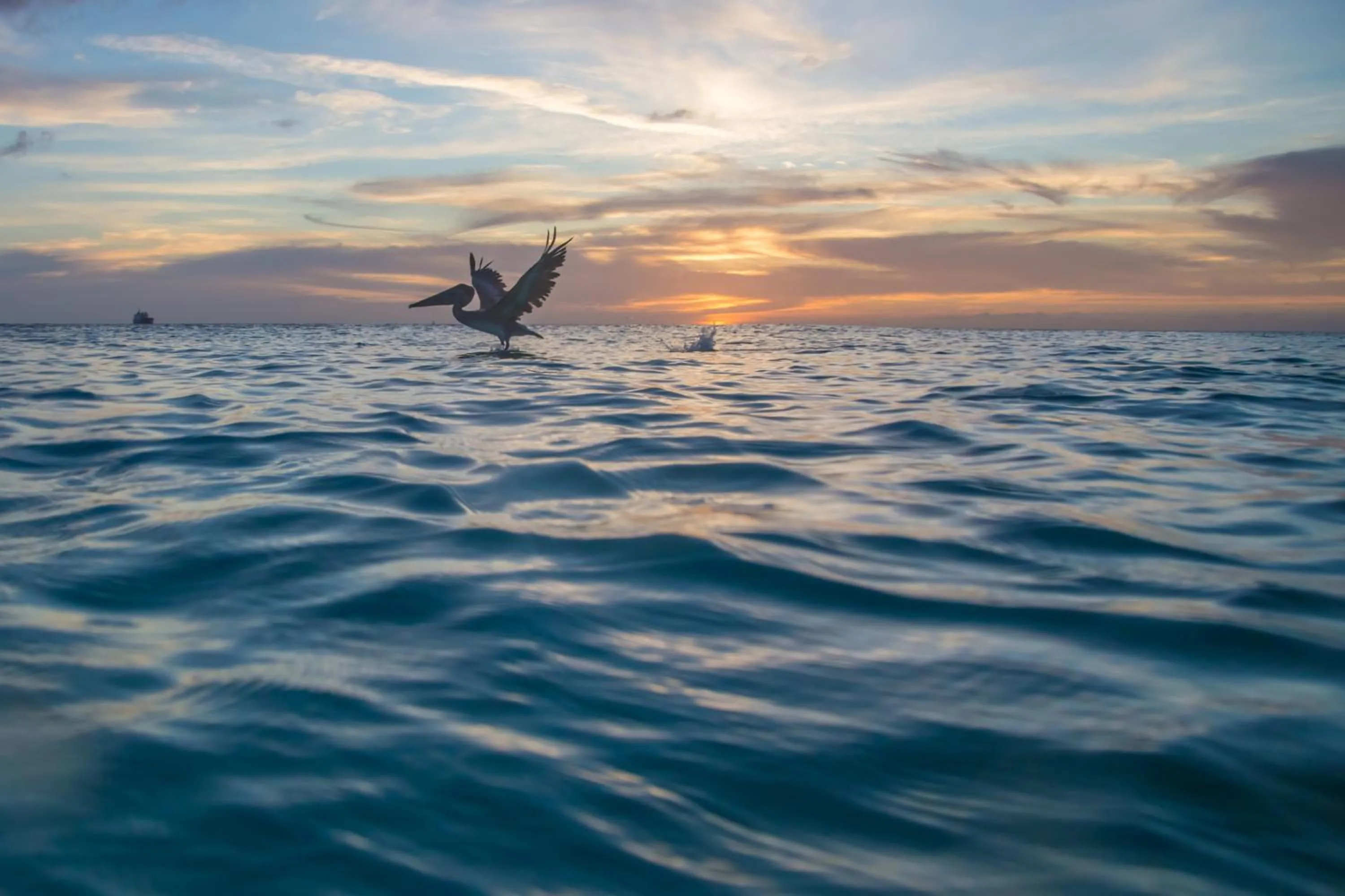 Property building in Thebonairian