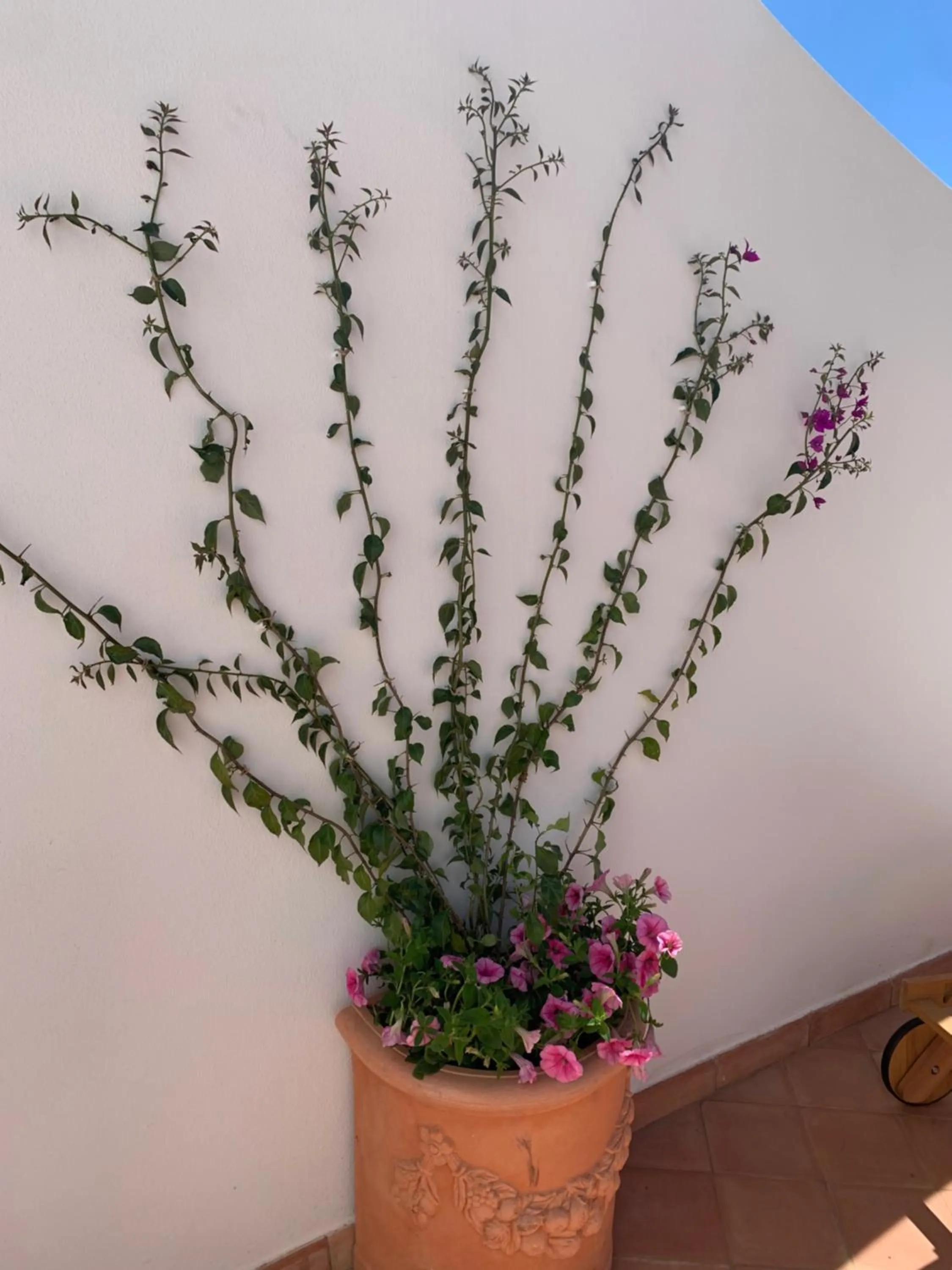 Floor plan in Villa Fortuna