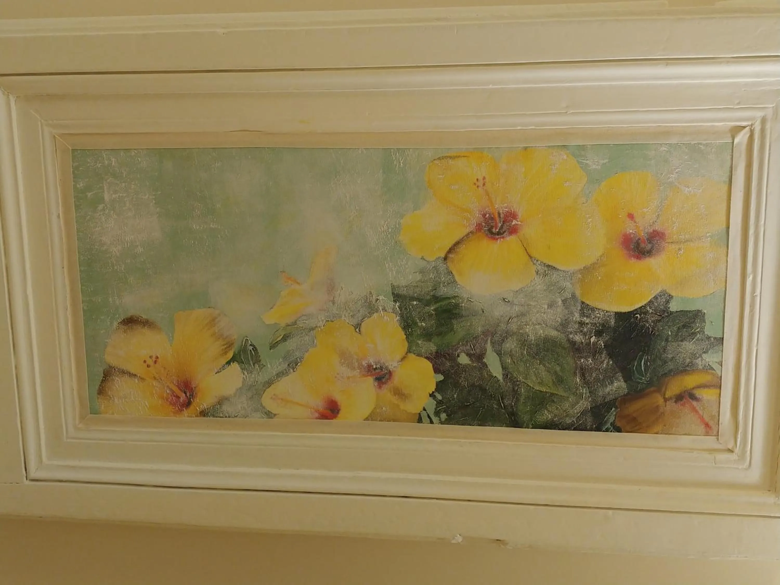 Certificate/Award in San Domenico Casa Vacanze