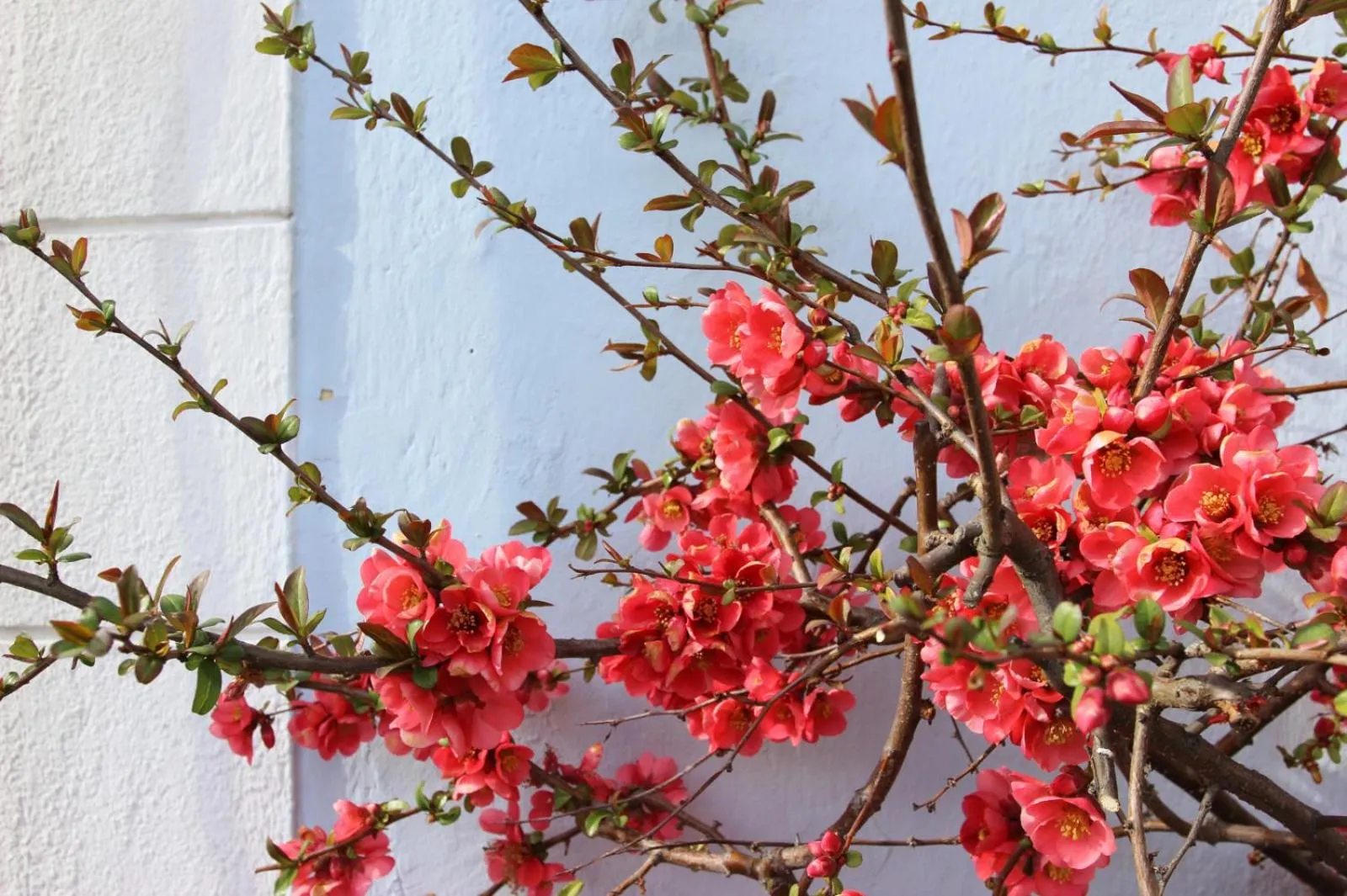 Spring in Wanderlust Boutique Rooms