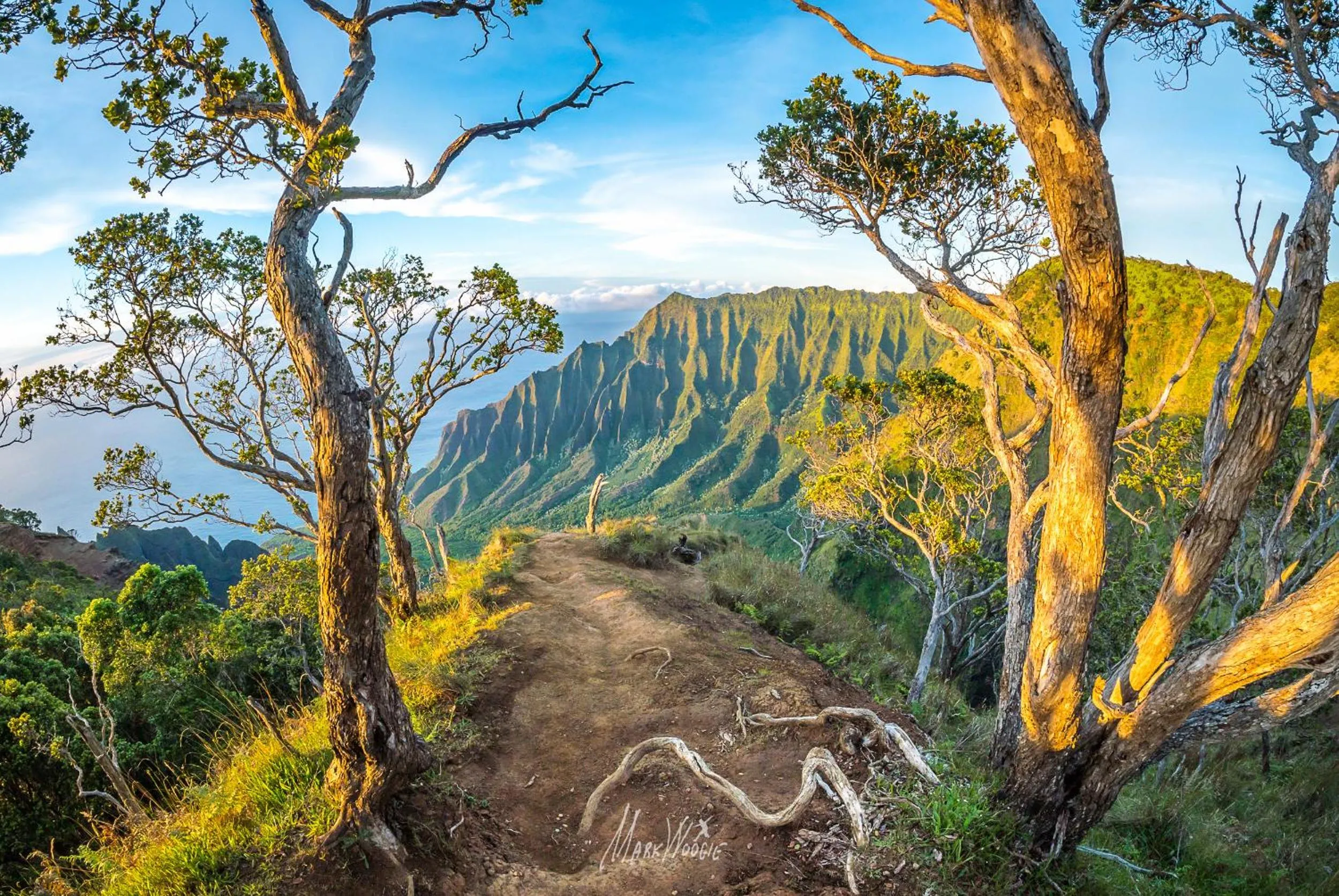 Poipu Plantation Vacation Rentals