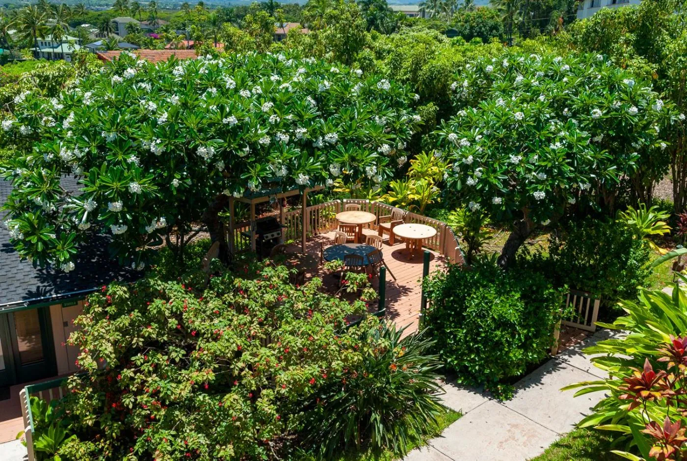 BBQ facilities in Poipu Plantation Vacation Rentals