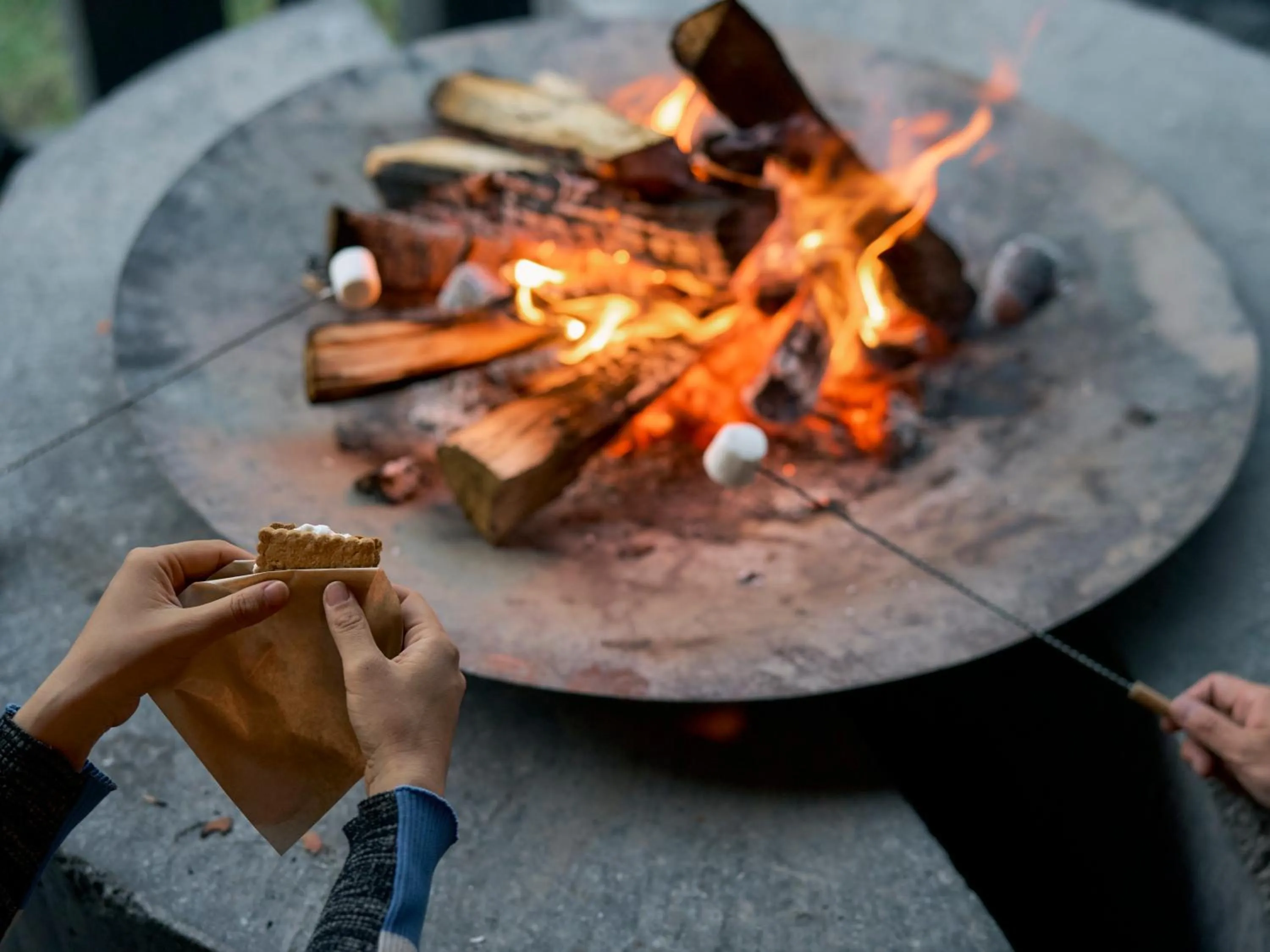 Garden in Glamprook Iizuna