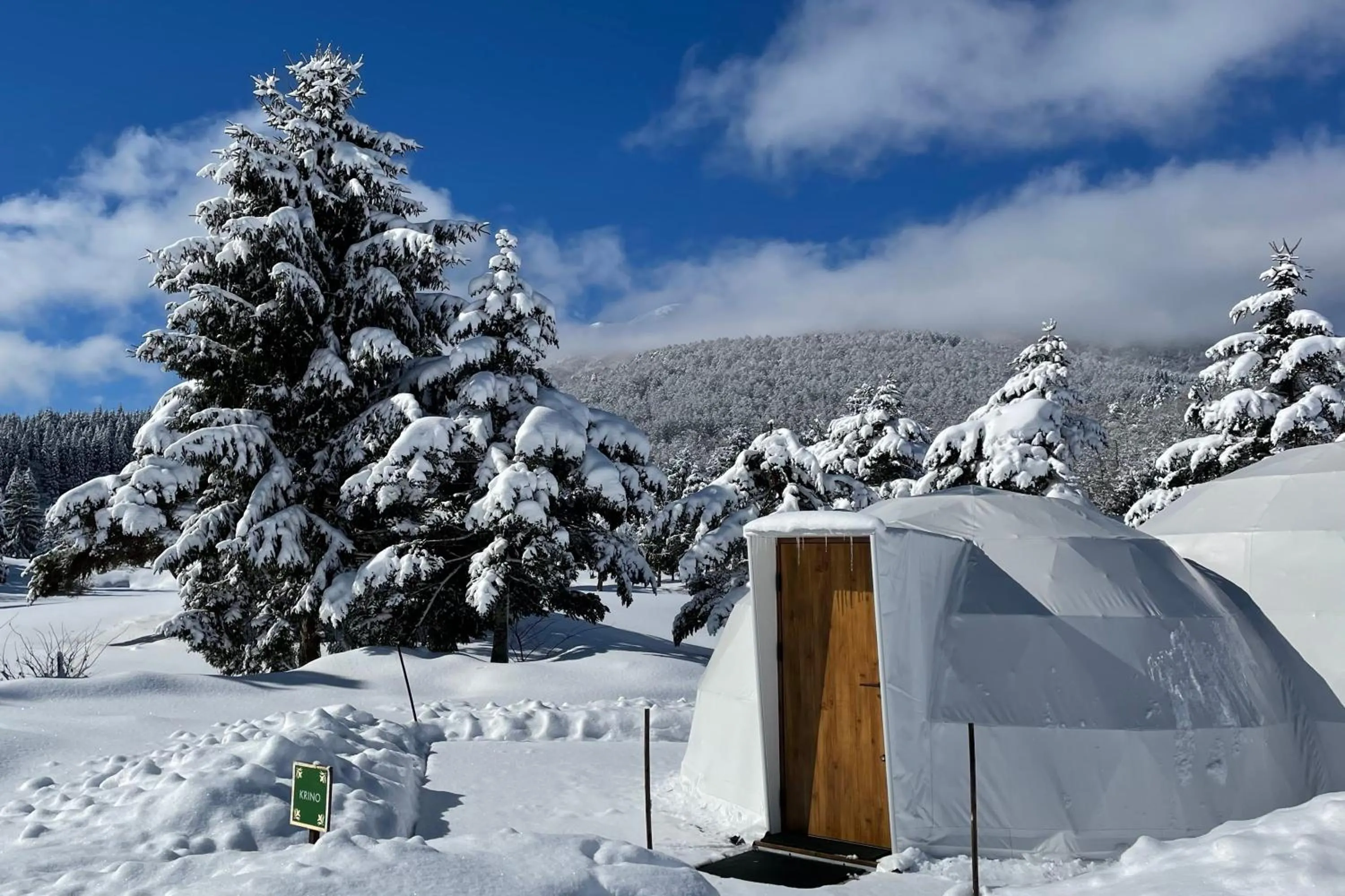 Property building in Glamprook Iizuna