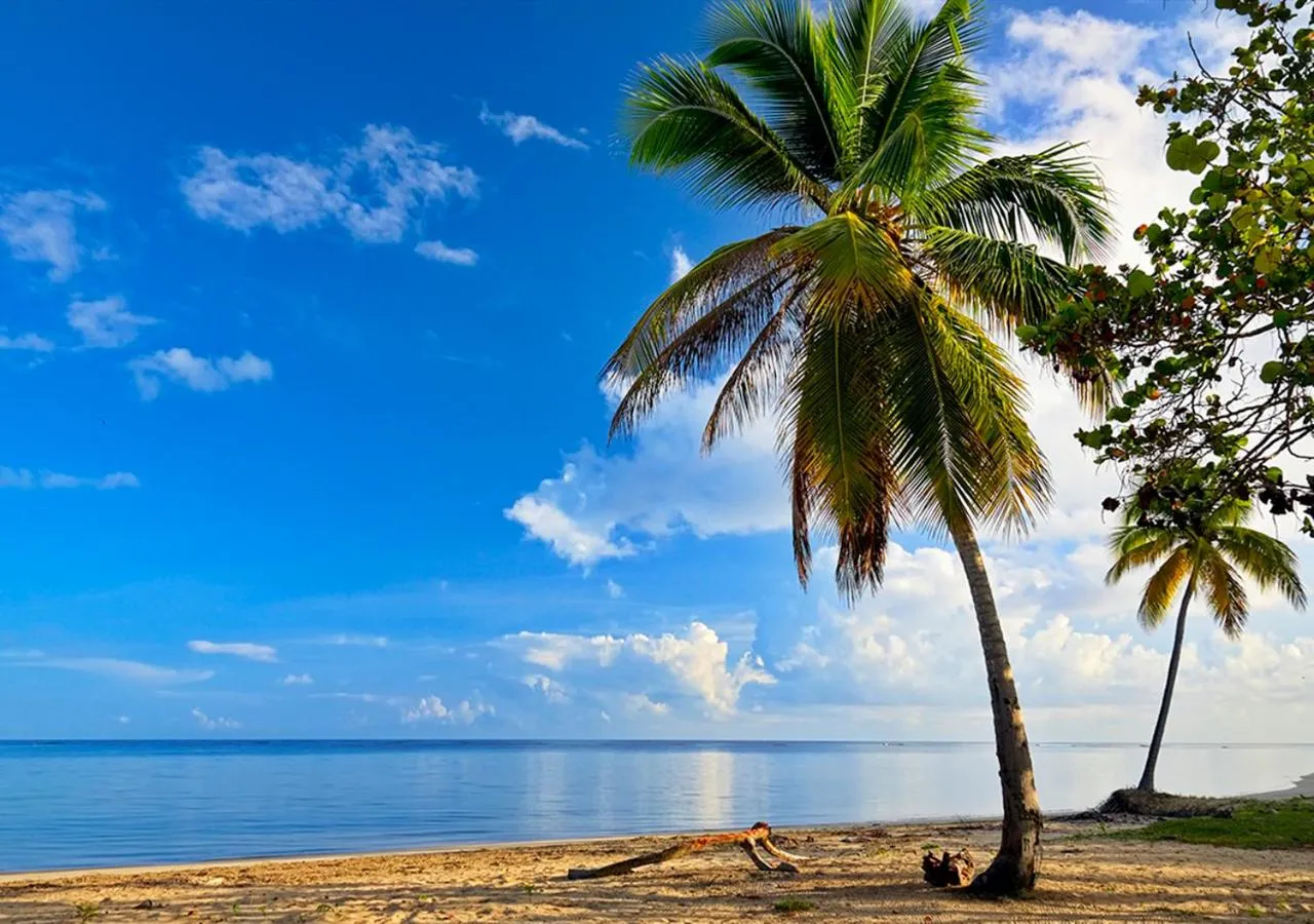 Beach in Chaykovski Boutique H