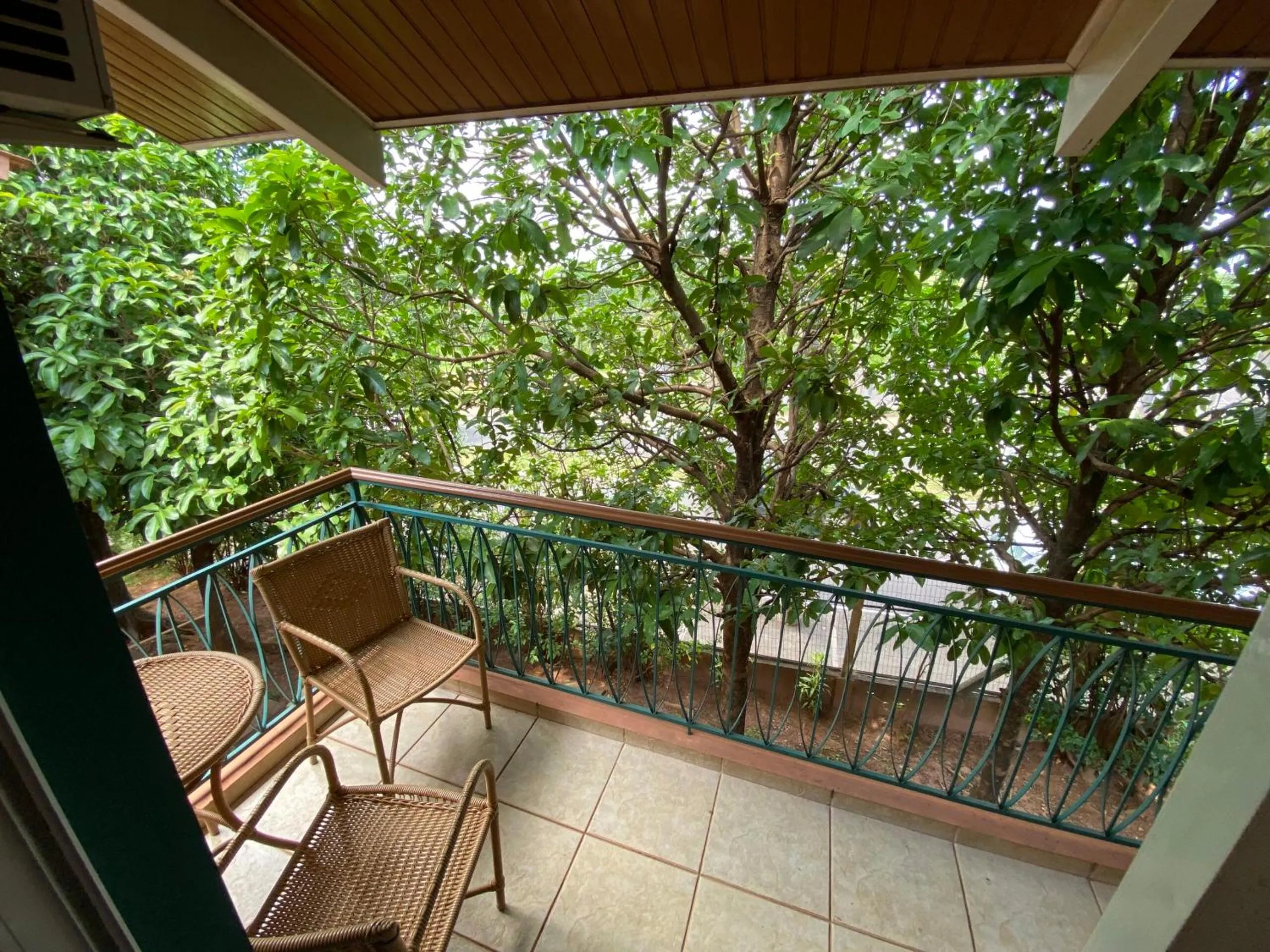 Garden in Hot Beach Raízes