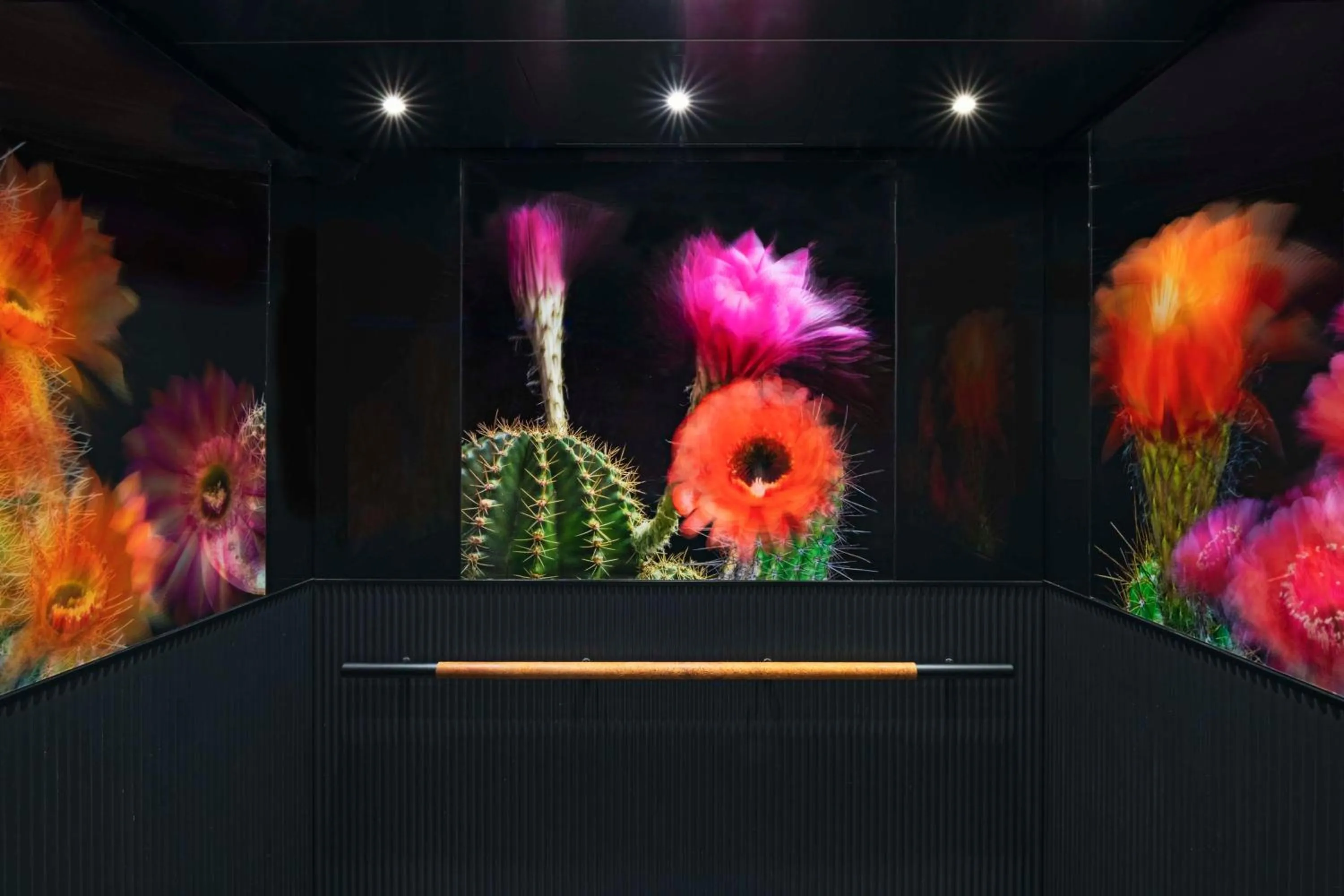 Lobby or reception in Tommie Austin, JDV by Hyatt