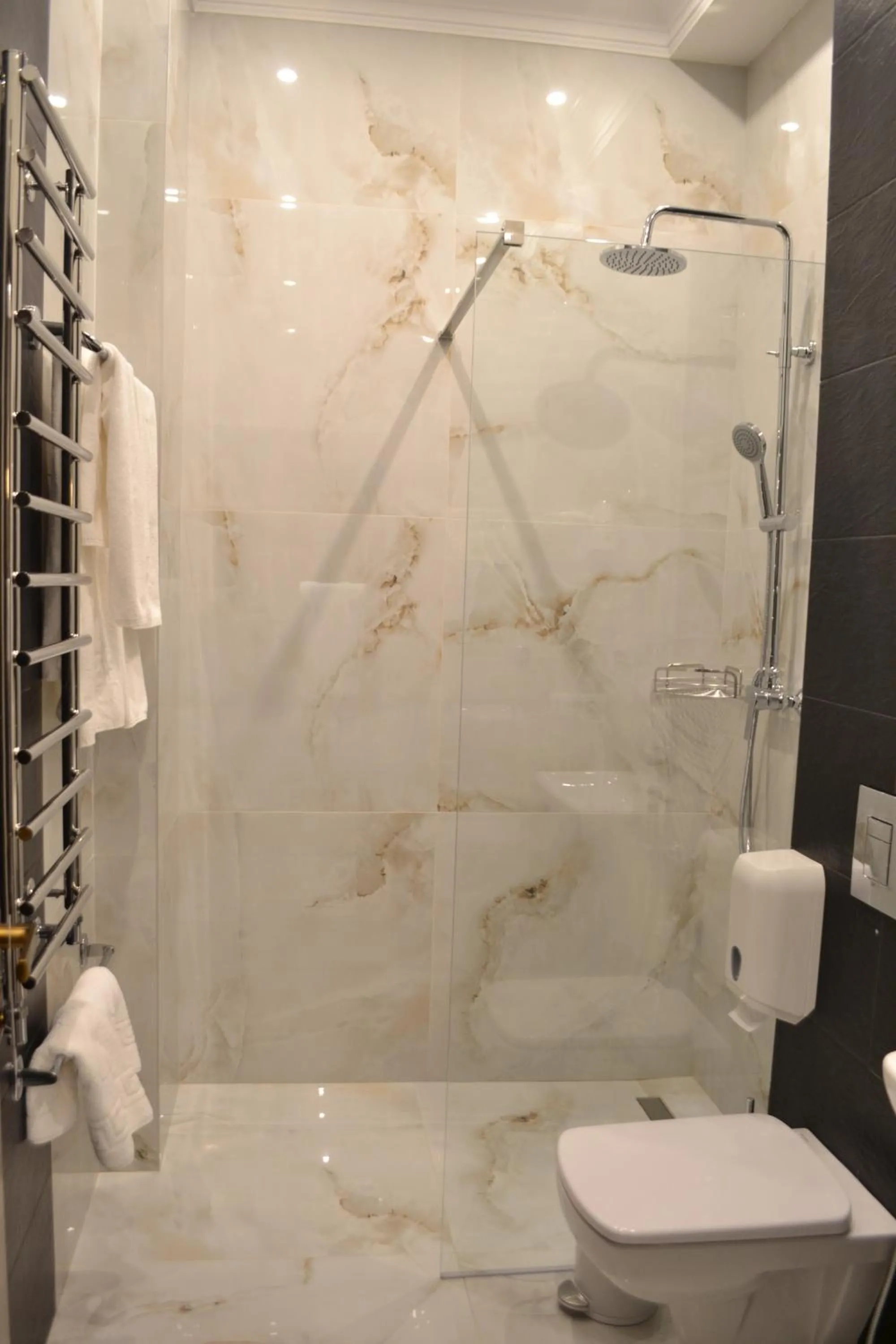 Shower in Optima Collection Bergshloss Rivne