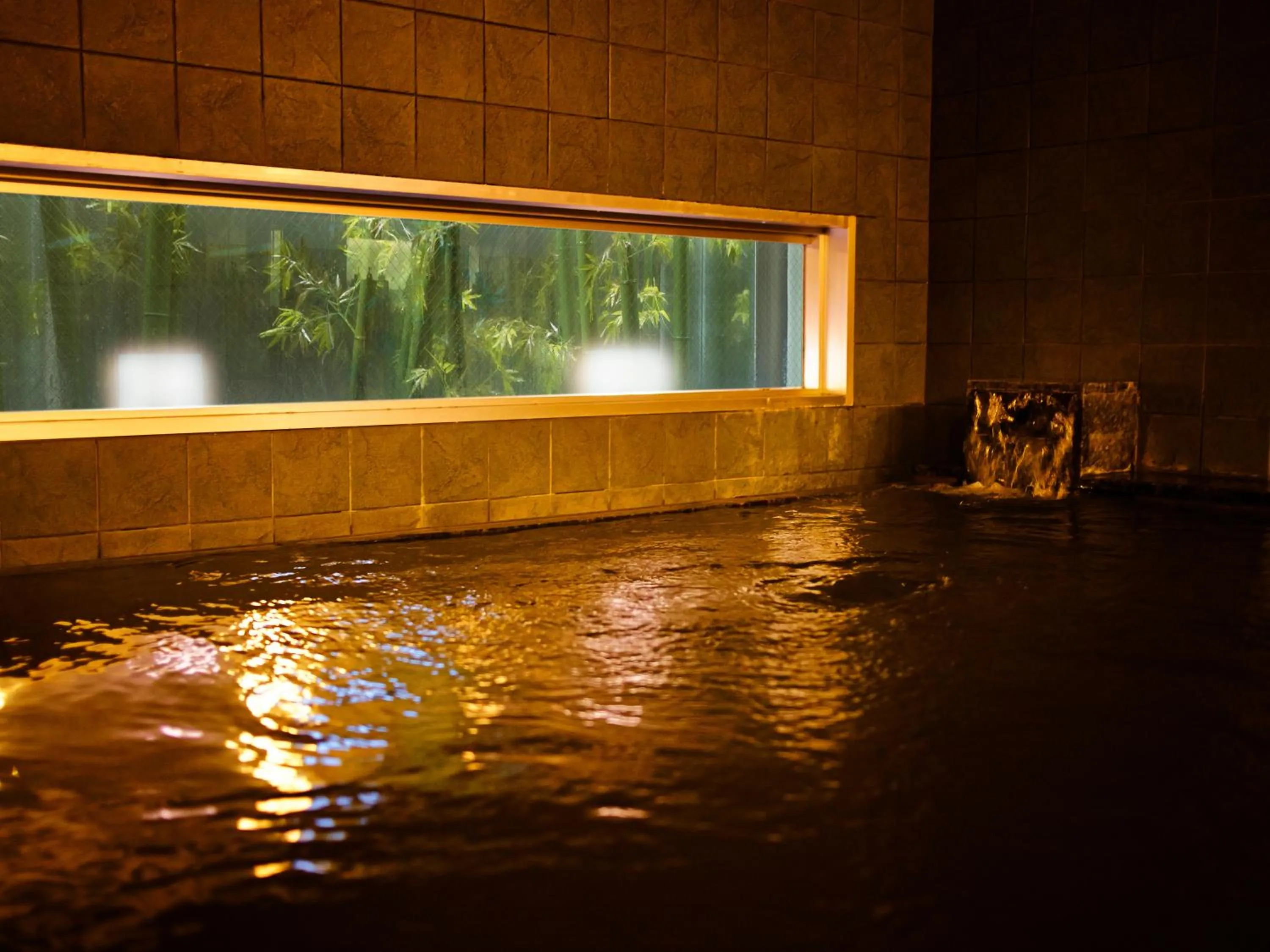 Hot Spring Bath in Super Hotel Saitama Omiya West