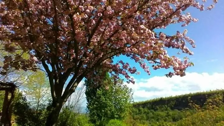 Il Casale di Aquarubra