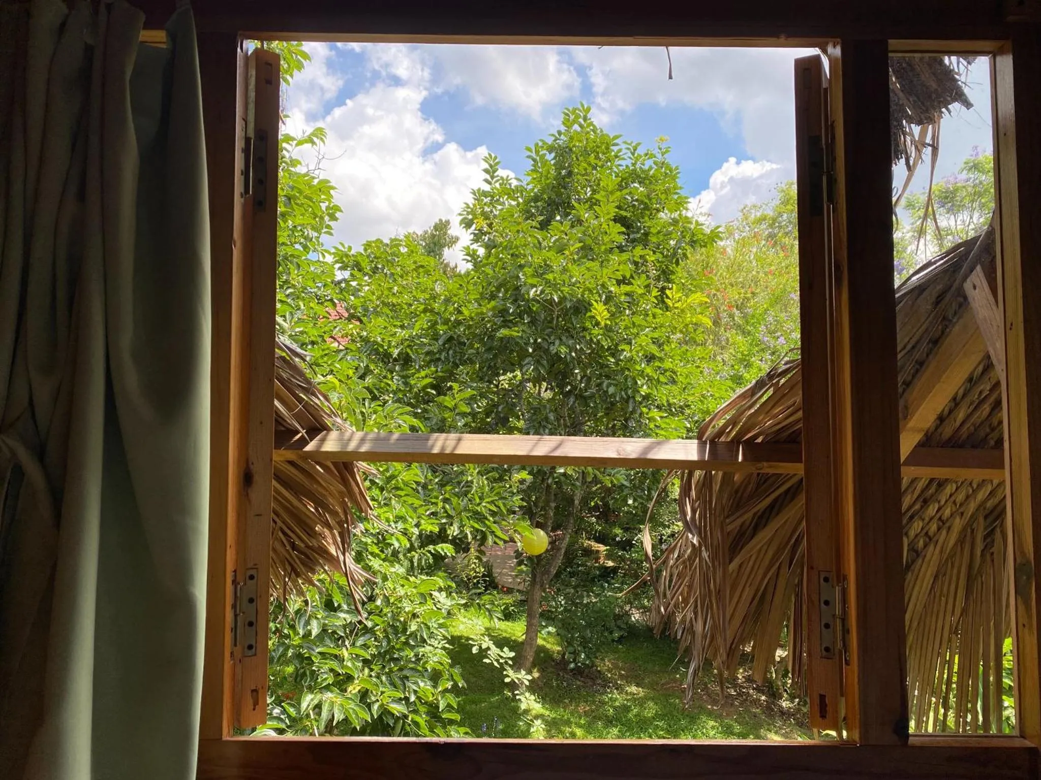 Spring in Đà Lạt Củi Homestay