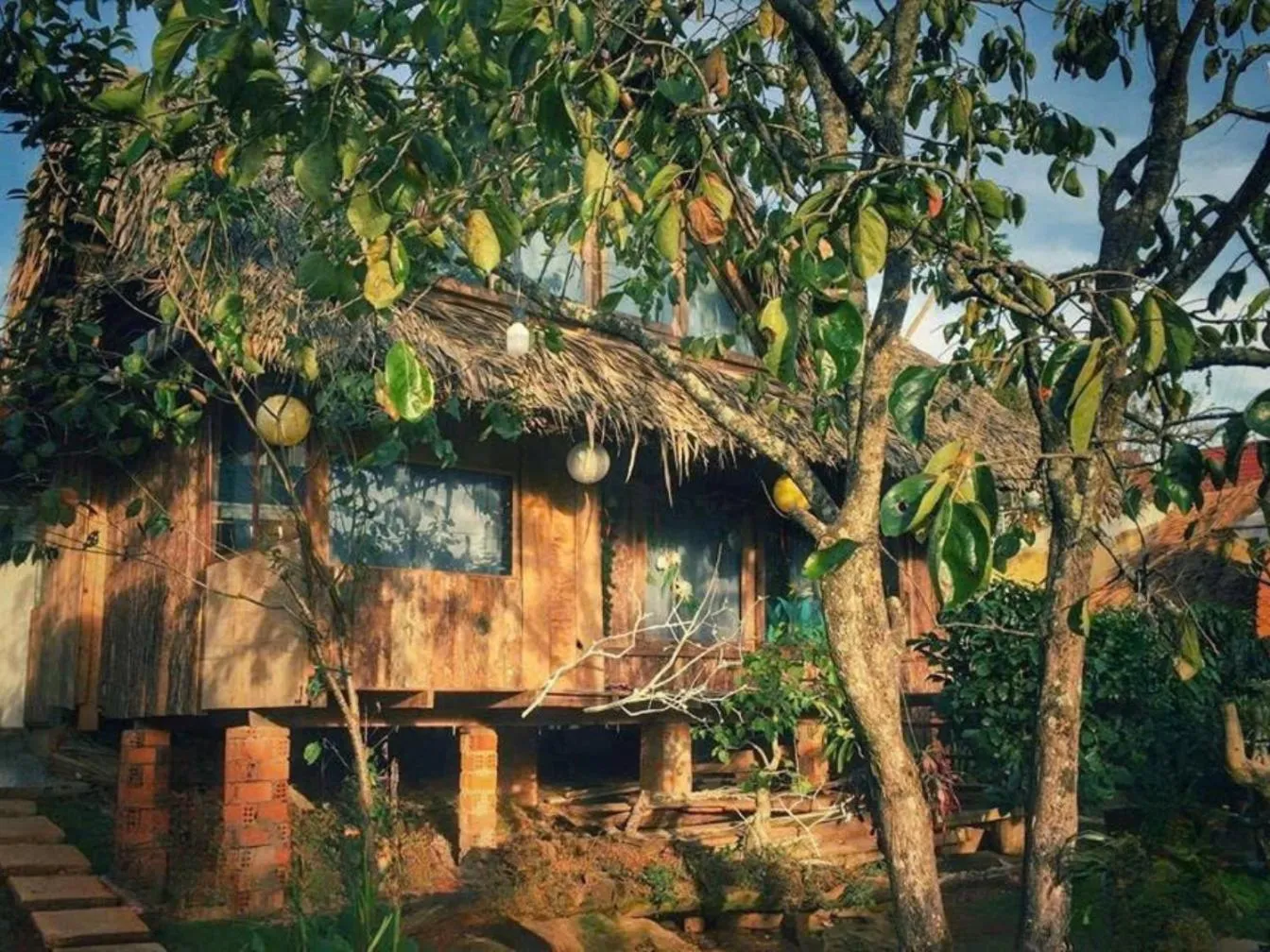 Đà Lạt Củi Homestay