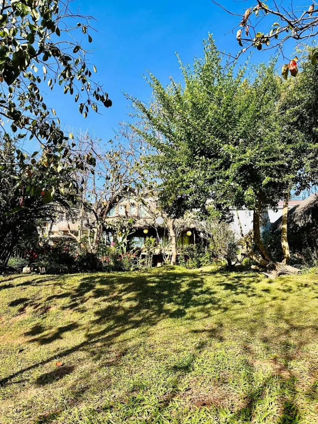 Đà Lạt Củi Homestay