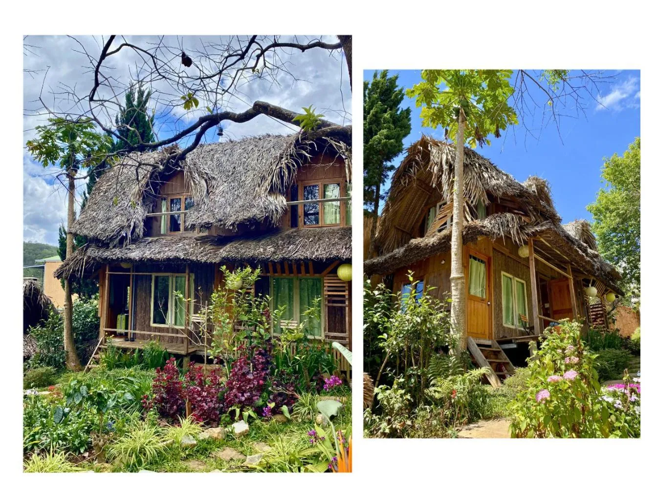 Property building in Đà Lạt Củi Homestay