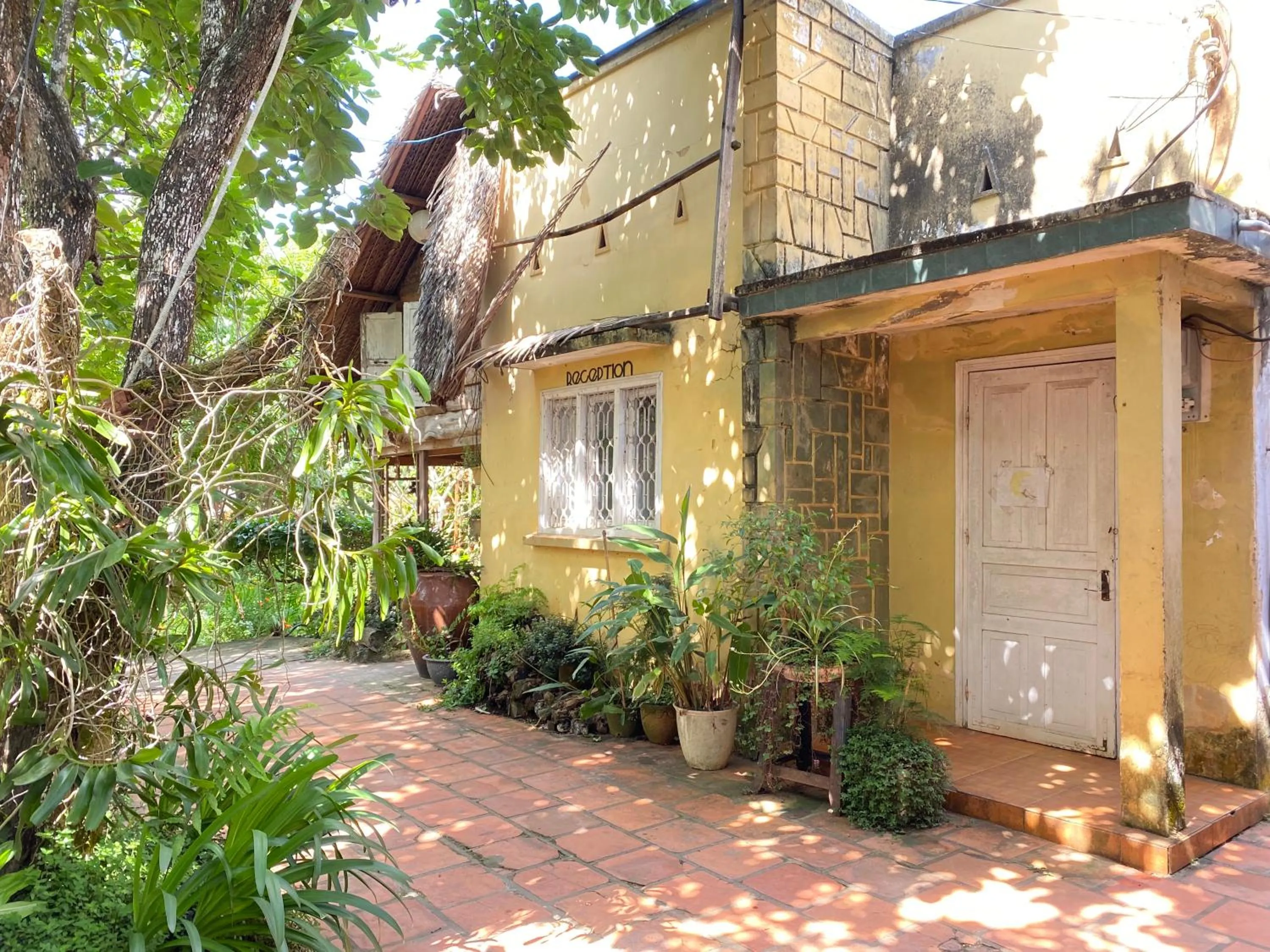 Garden in Đà Lạt Củi Homestay