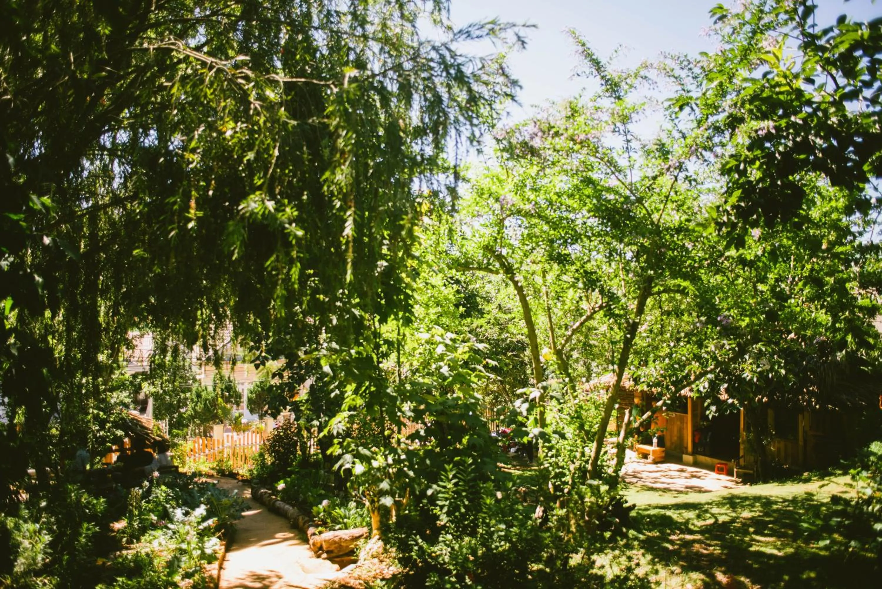 Garden in Đà Lạt Củi Homestay