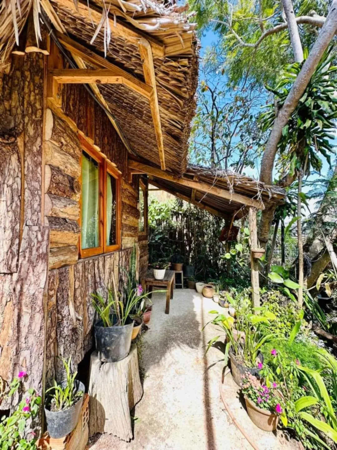 Property building in Đà Lạt Củi Homestay