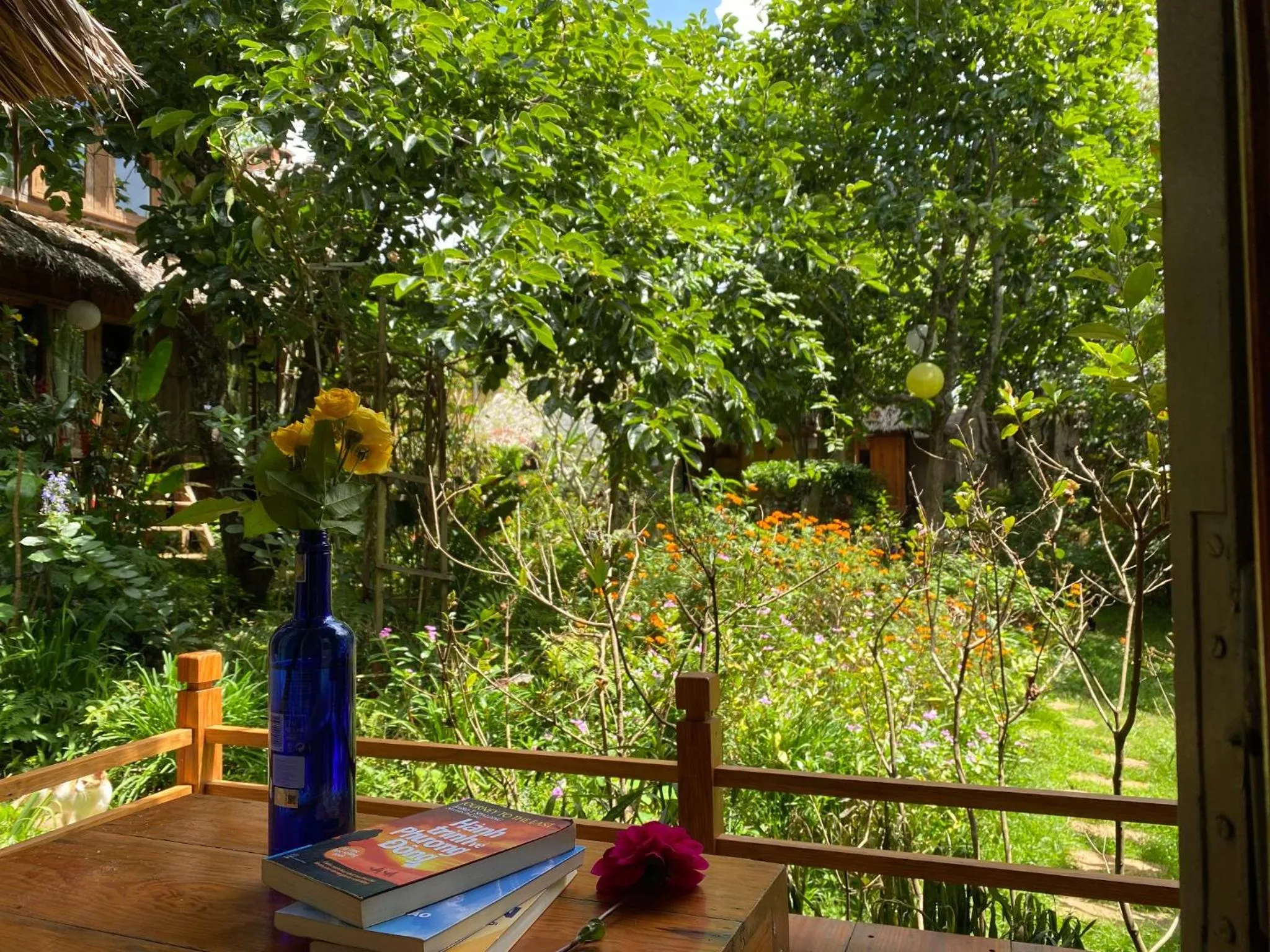 Spring in Đà Lạt Củi Homestay