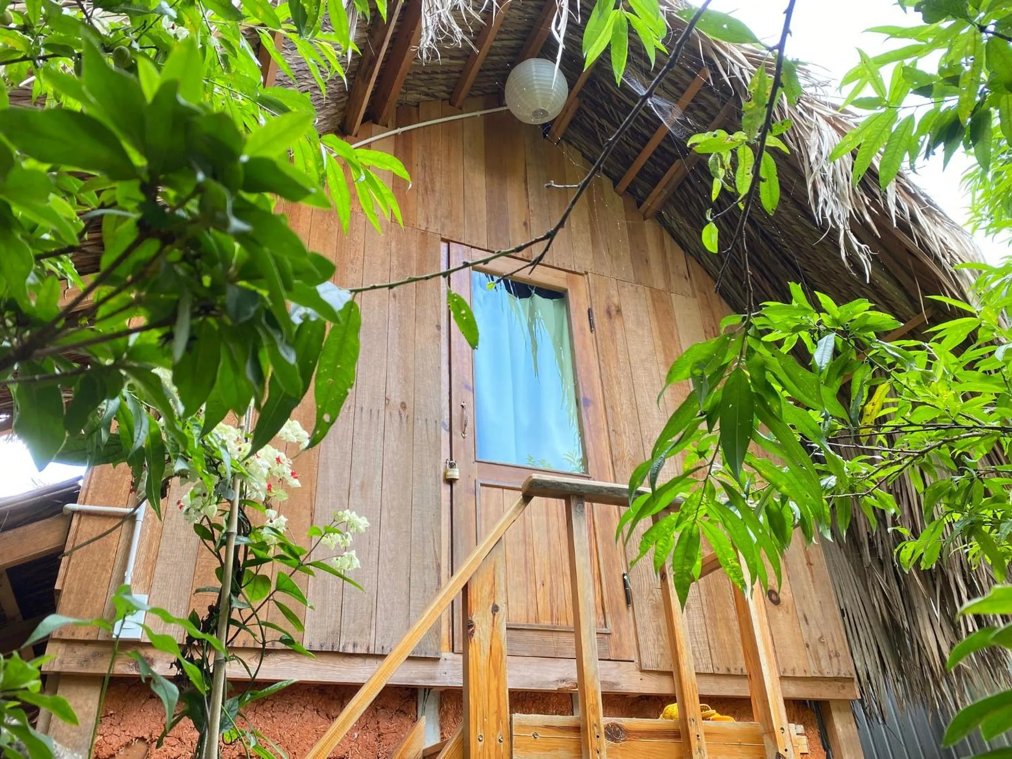 Property building in Đà Lạt Củi Homestay