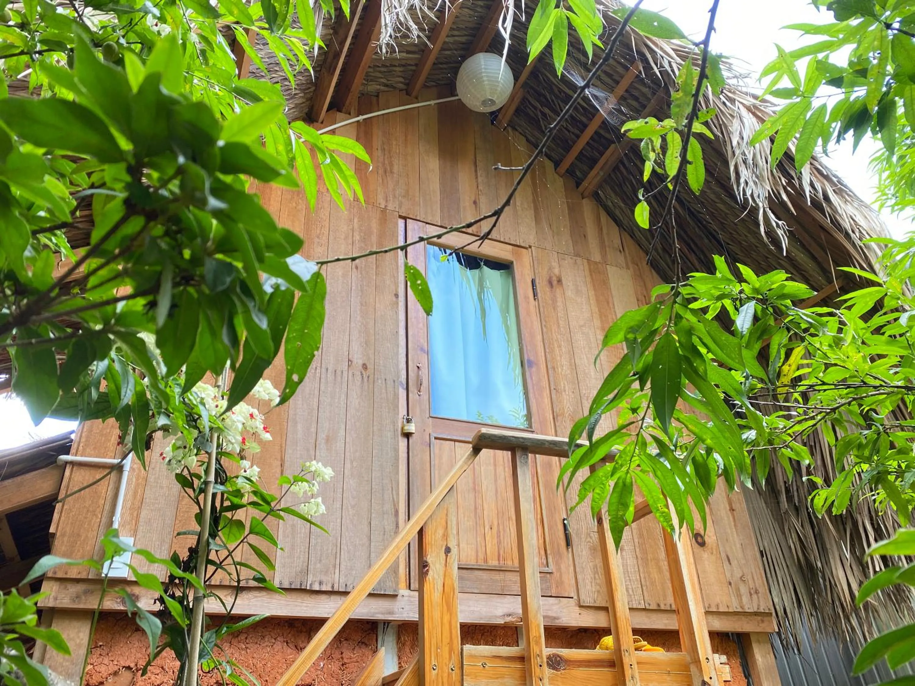 Facade/entrance in Đà Lạt Củi Homestay