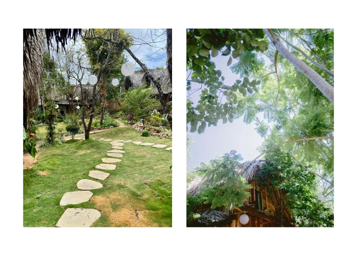 Đà Lạt Củi Homestay