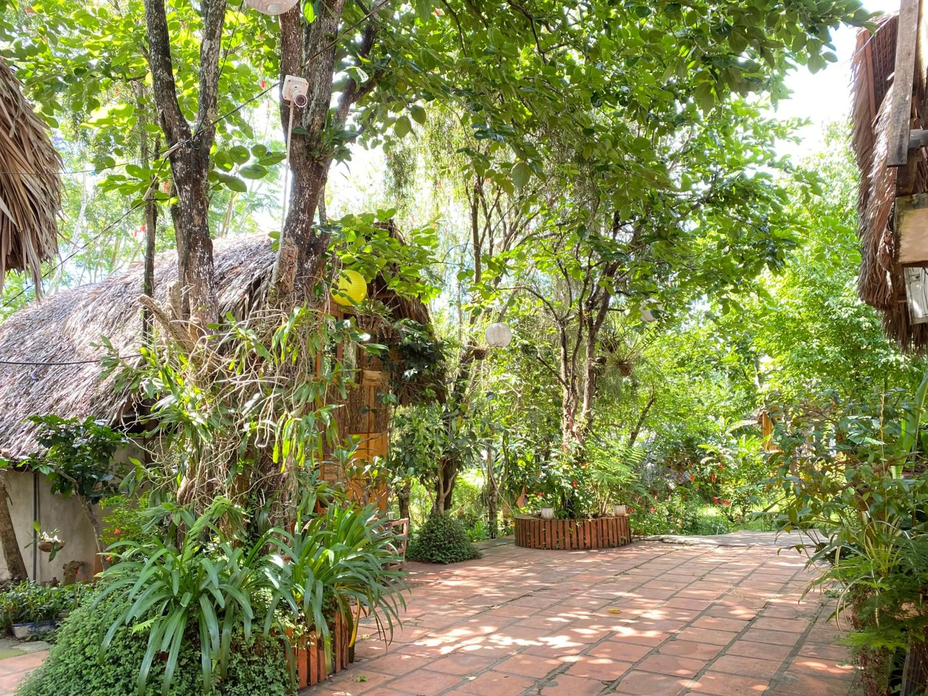 Garden view in Đà Lạt Củi Homestay