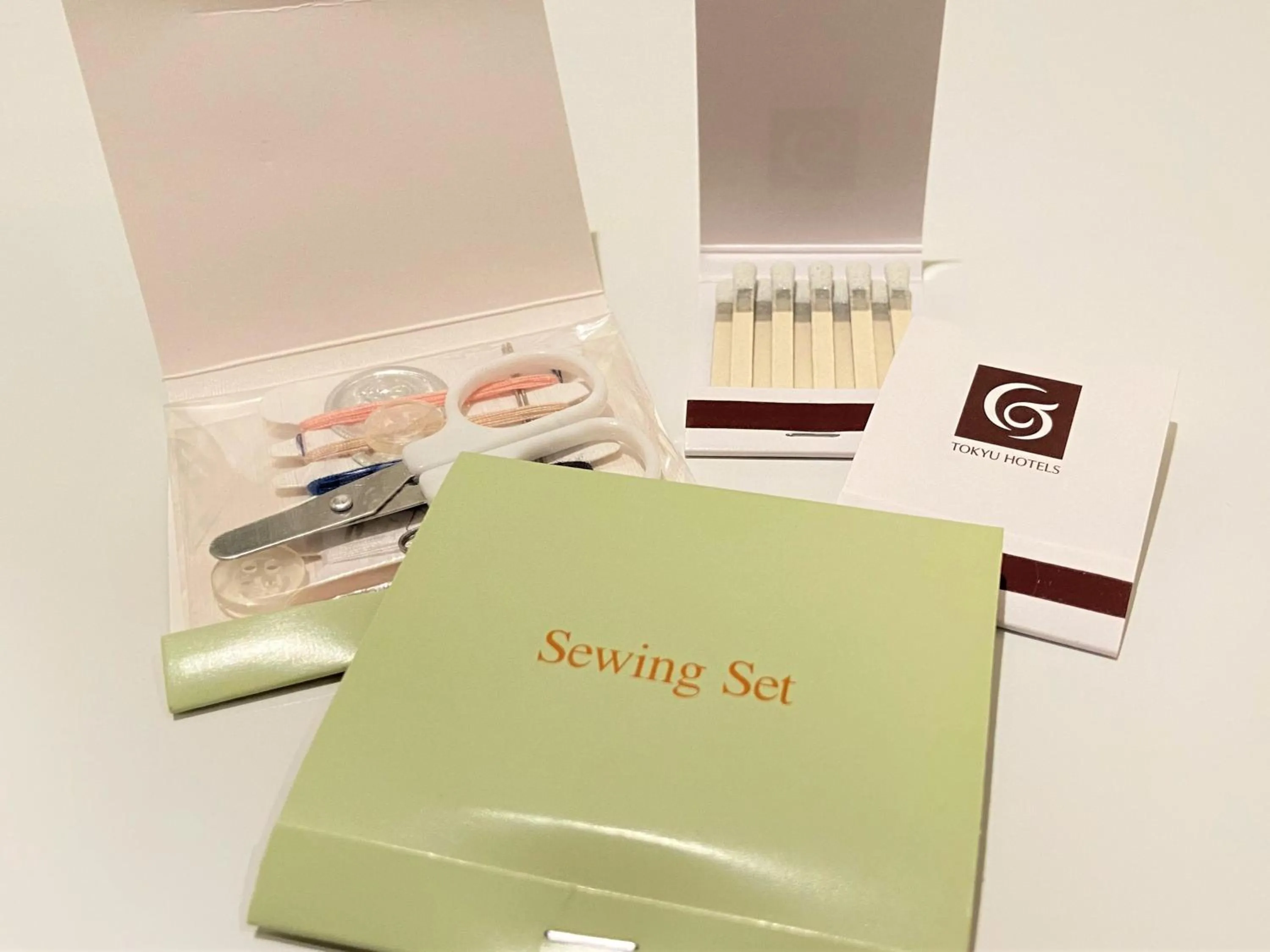 Area and facilities in Hiroshima Tokyu REI Hotel