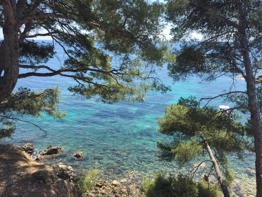 Hiking in Villa Cocody